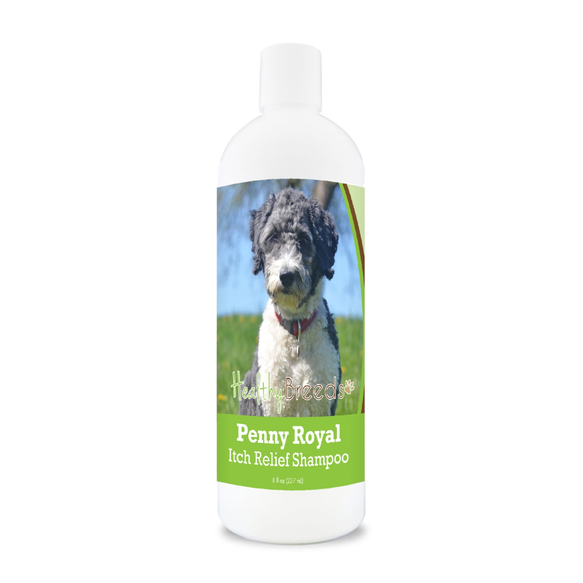 Aussiedoodle Penny Royal Itch Relief Shampoo 8 oz