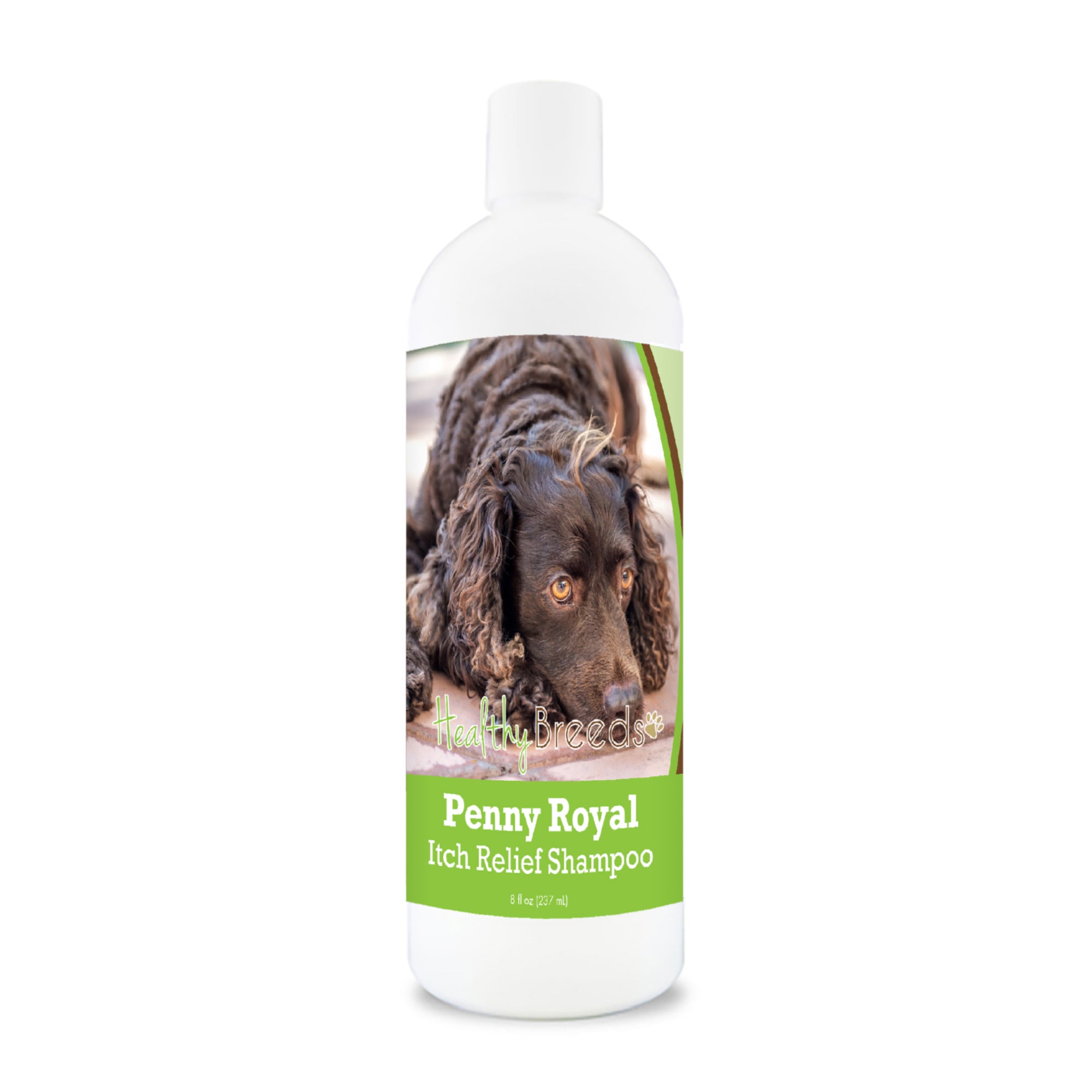 American Water Spaniel Penny Royal Itch Relief Shampoo 8 oz