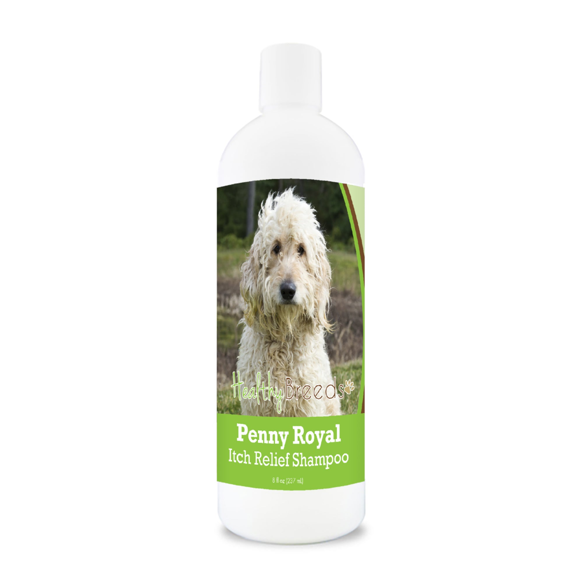 Goldendoodle Penny Royal Itch Relief Shampoo 8 oz