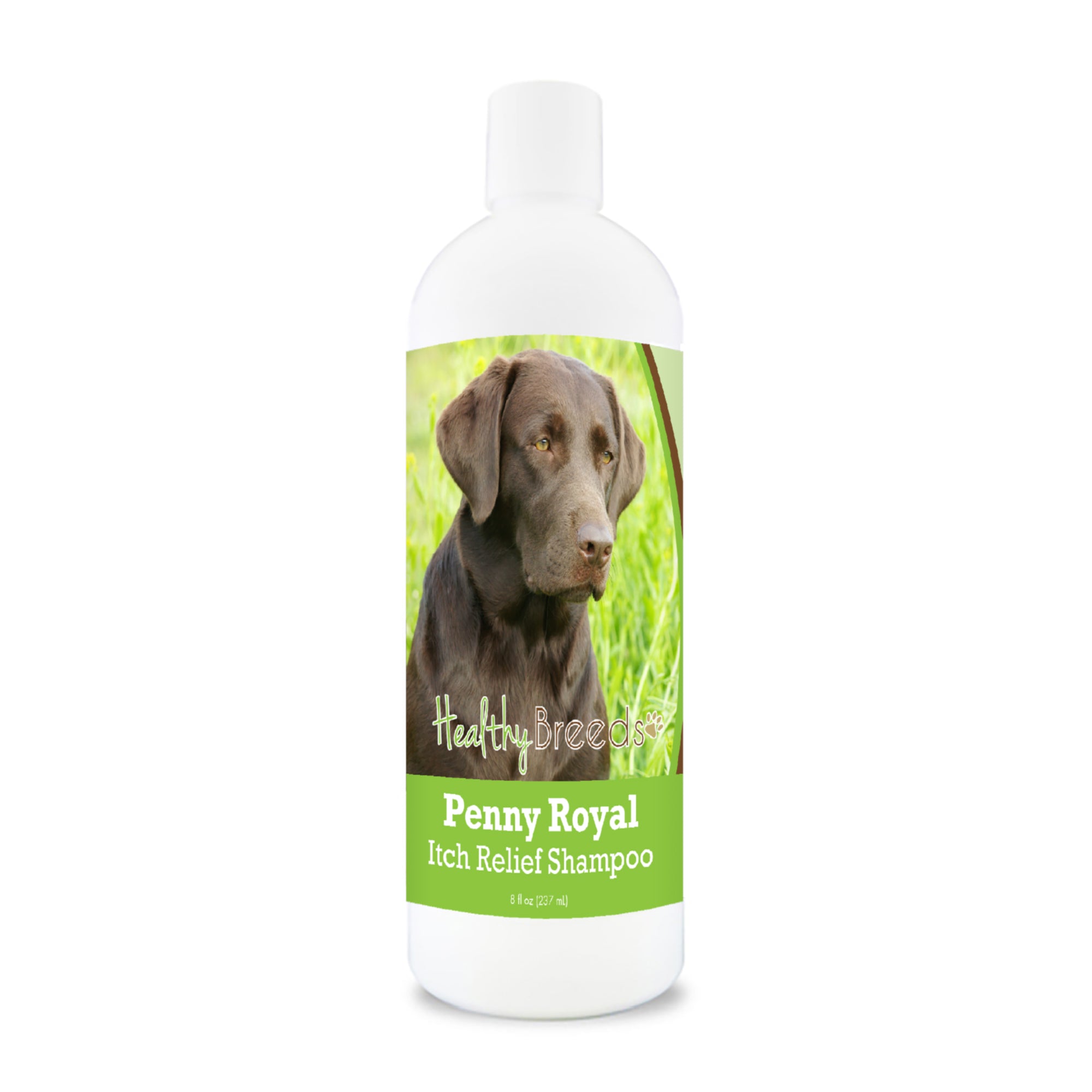 Labrador Retriever Penny Royal Itch Relief Shampoo 8 oz