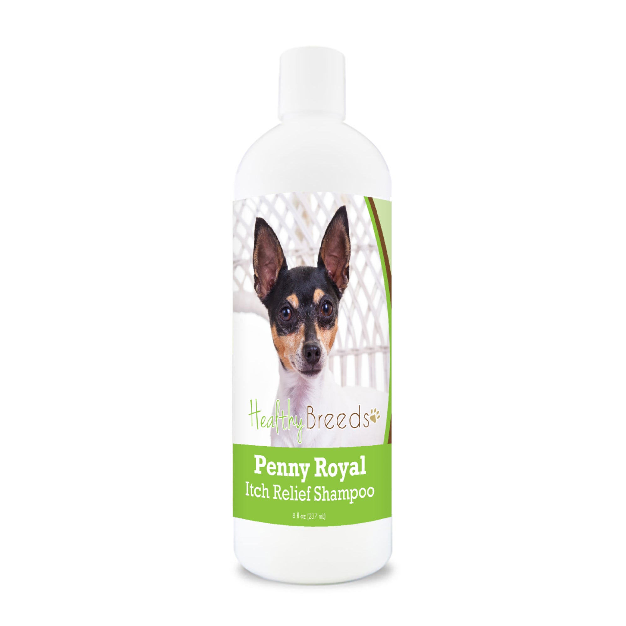Toy Fox Terrier Penny Royal Itch Relief Shampoo 8 oz