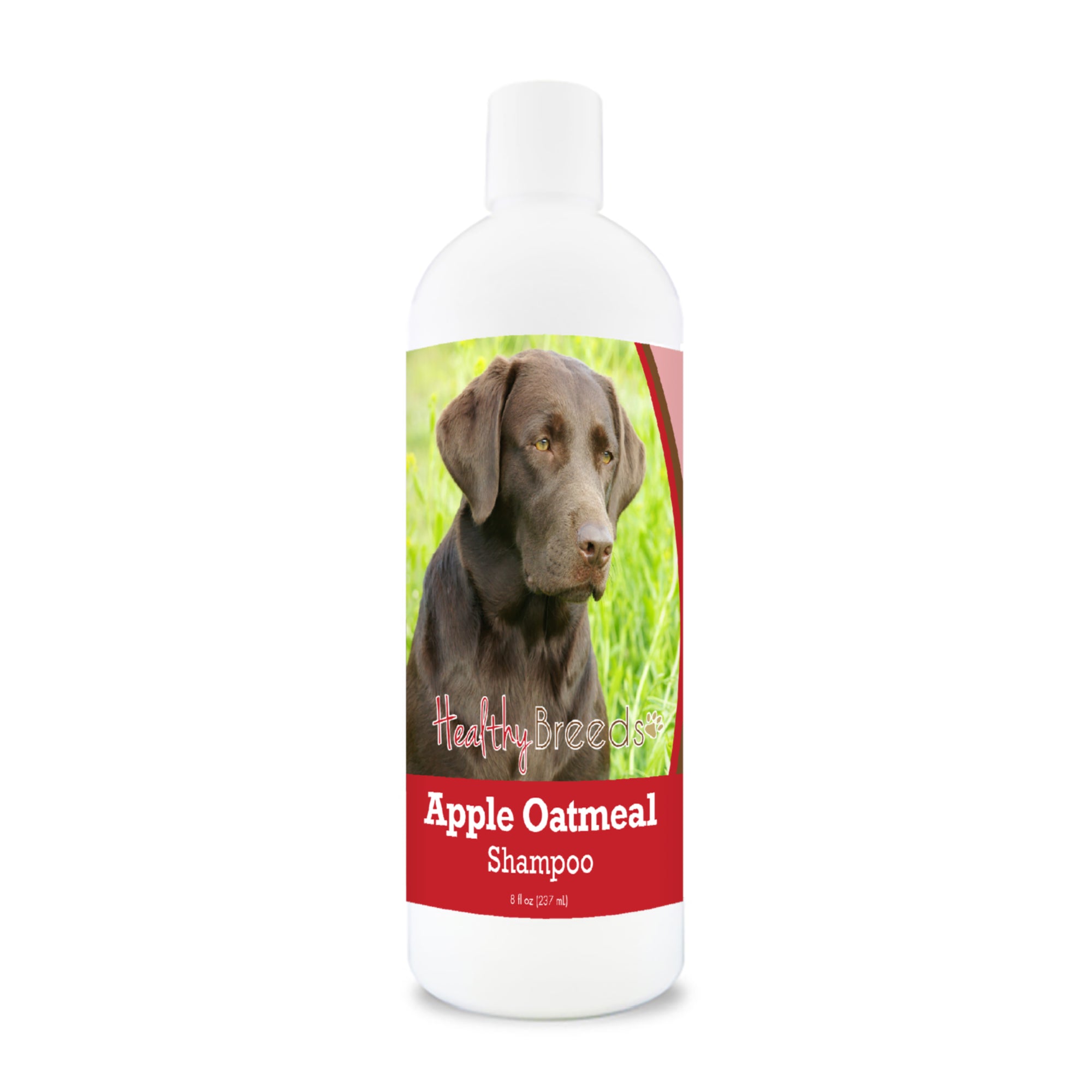 Labrador Retriever Apple Oatmeal Shampoo 8 oz