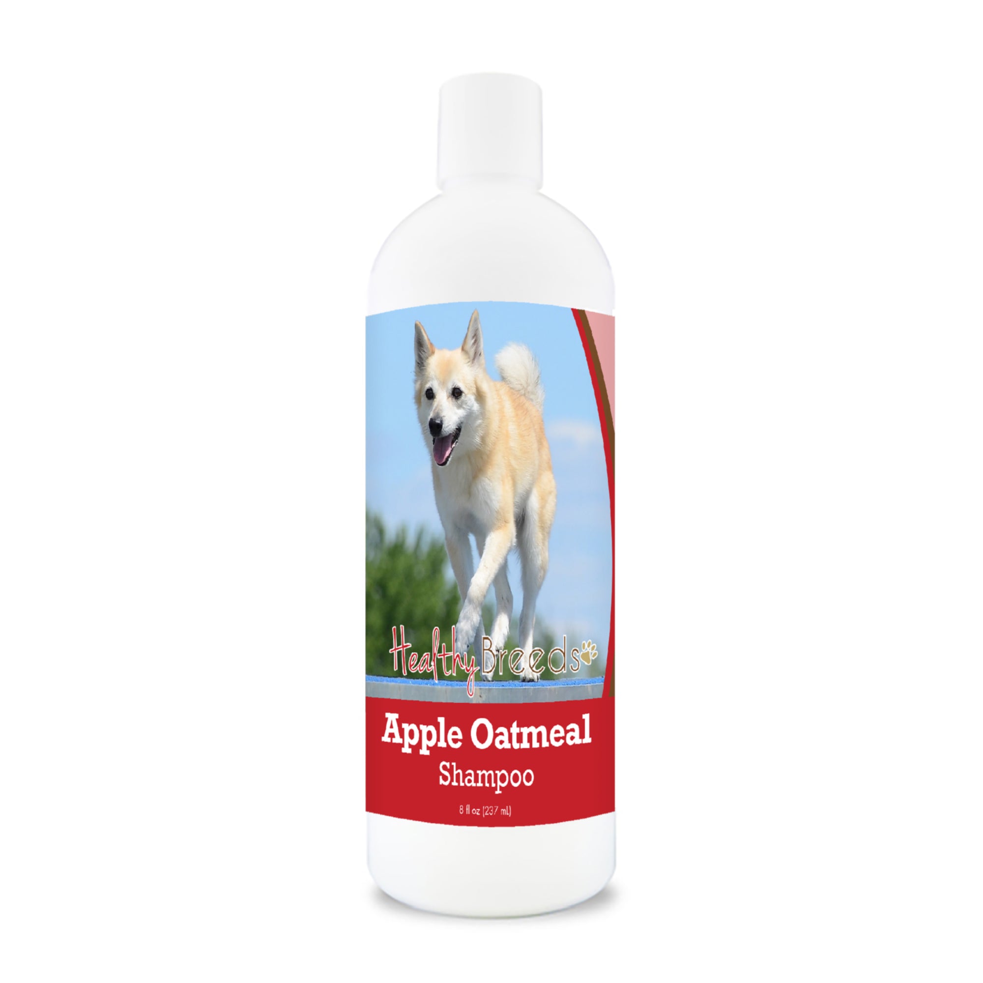 Norwegian Buhund Apple Oatmeal Shampoo 8 oz