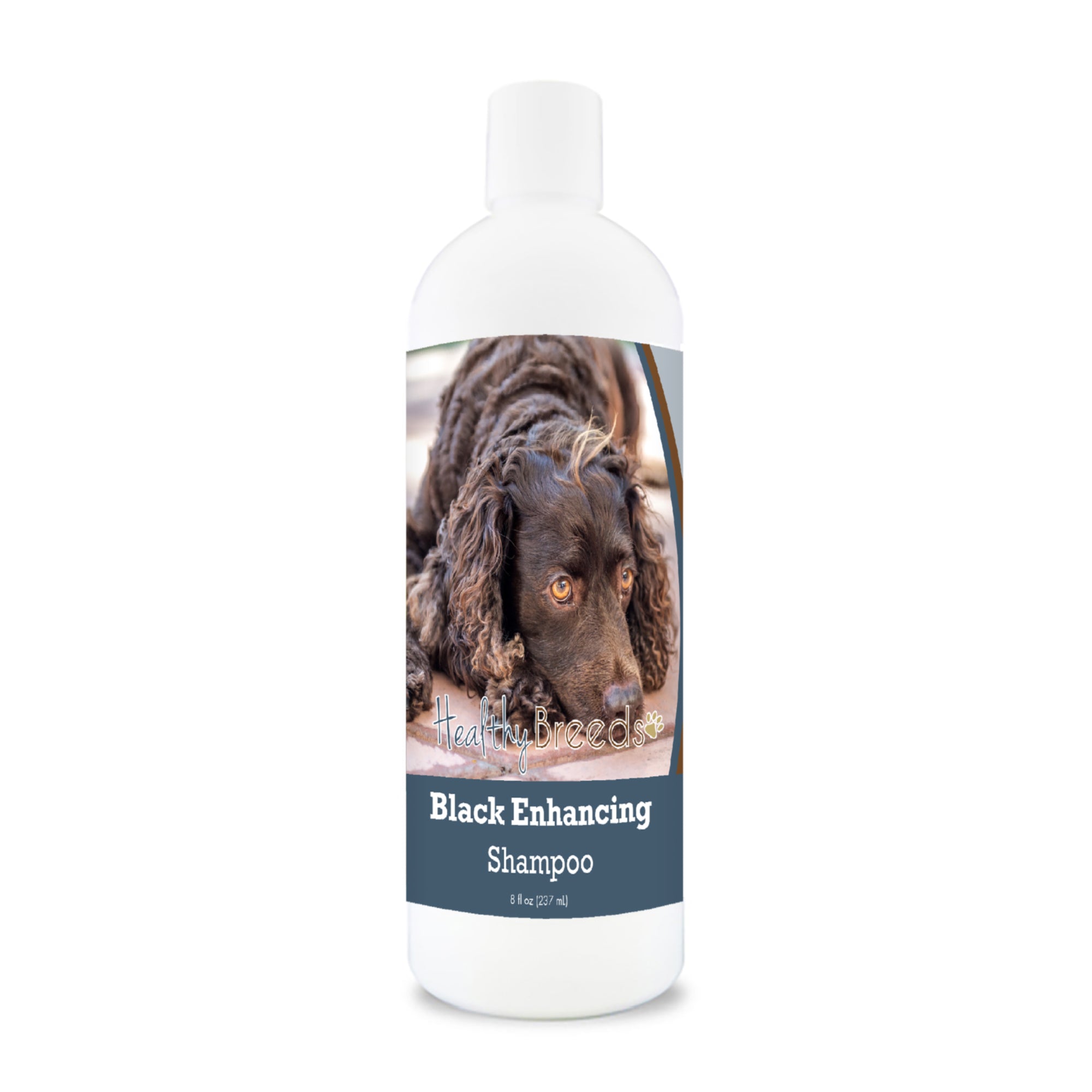 American Water Spaniel Black Enhancing Shampoo 8 oz