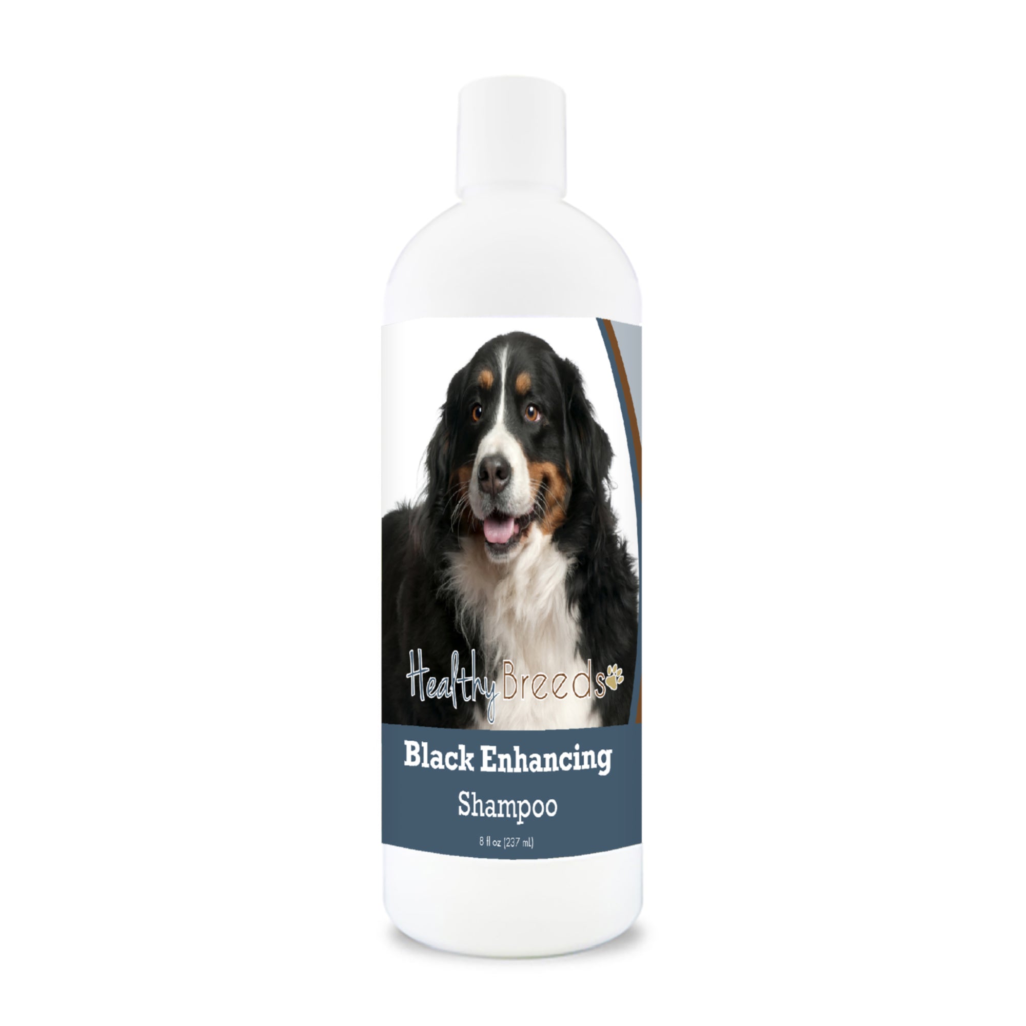 Bernese Mountain Dog Black Enhancing Shampoo 8 oz