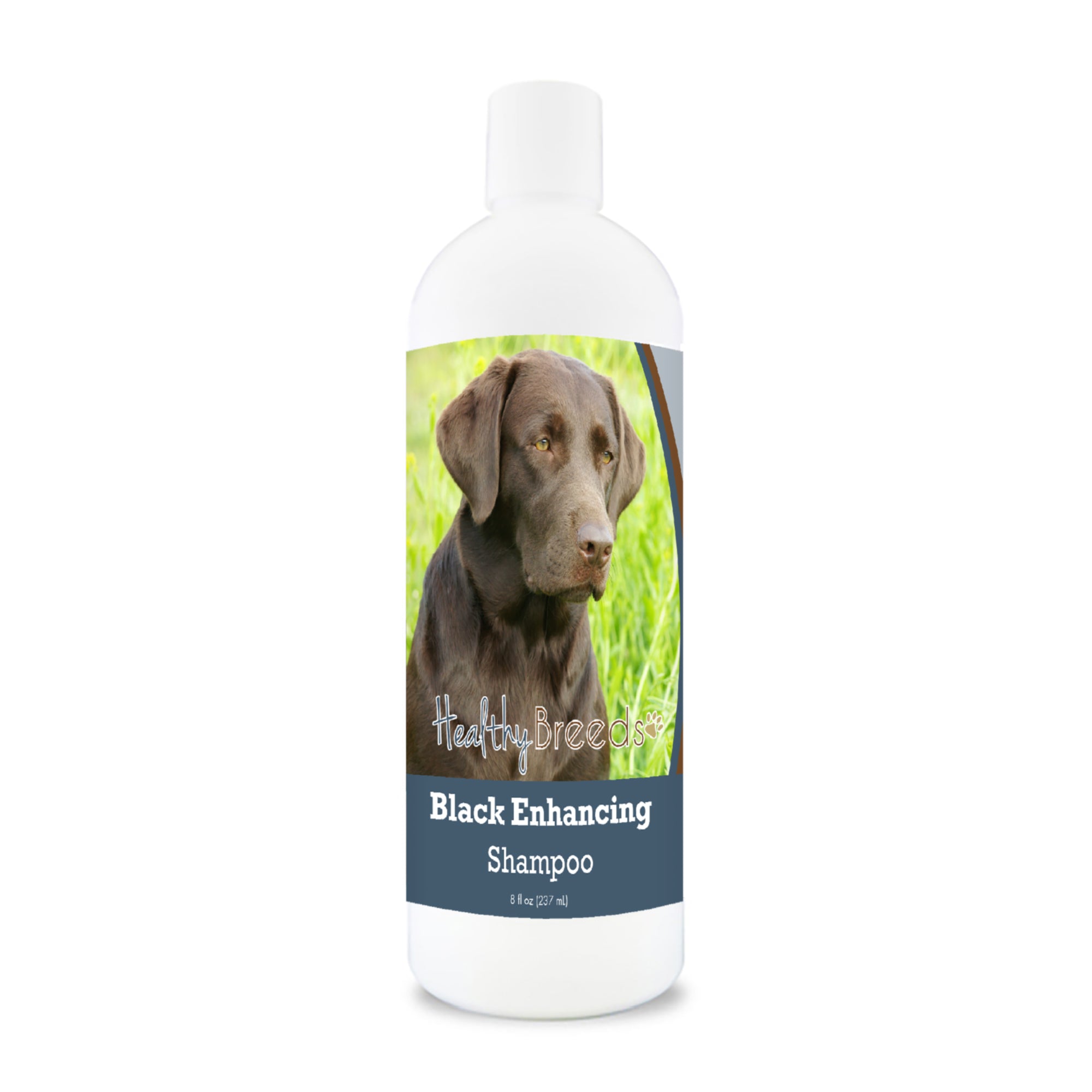 Labrador Retriever Black Enhancing Shampoo 8 oz