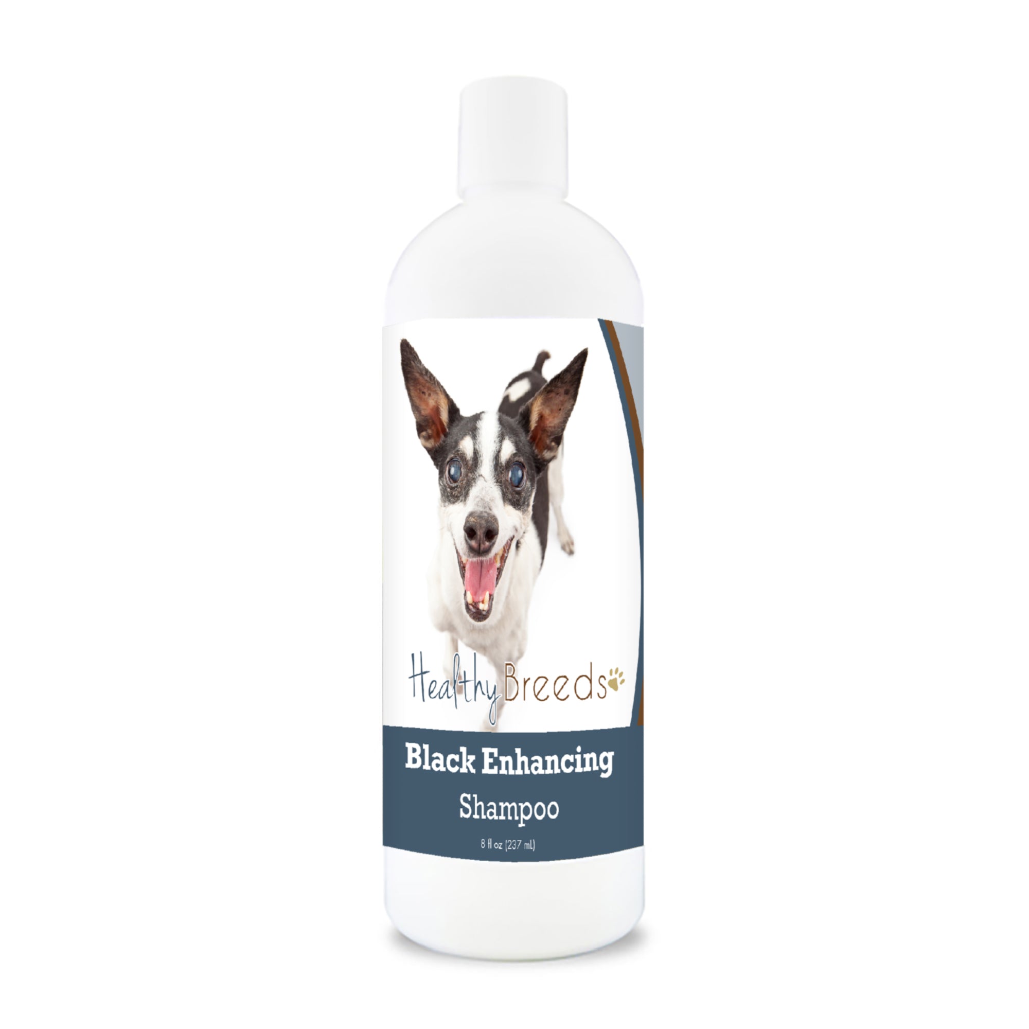 Rat Terrier Black Enhancing Shampoo 8 oz