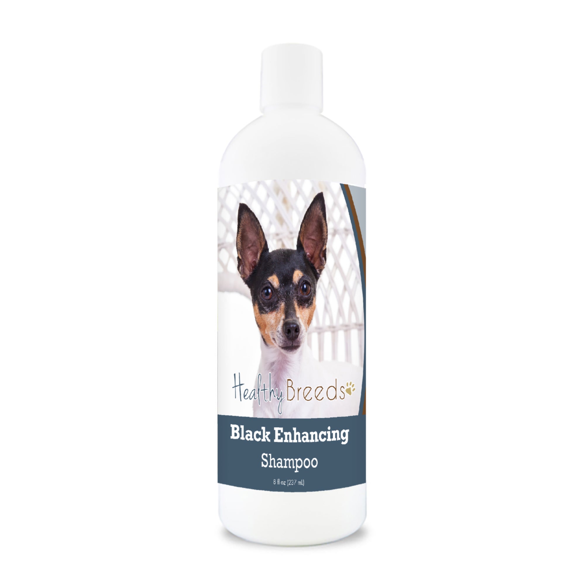 Toy Fox Terrier Black Enhancing Shampoo 8 oz