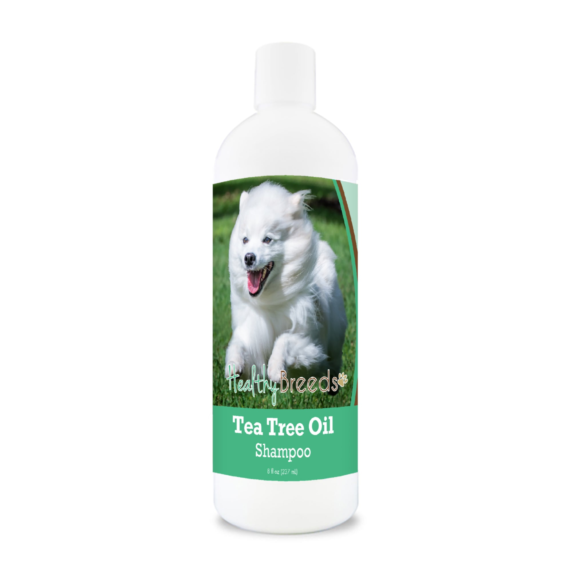 American Eskimo Dog Tea Tree Oil Shampoo 8 oz