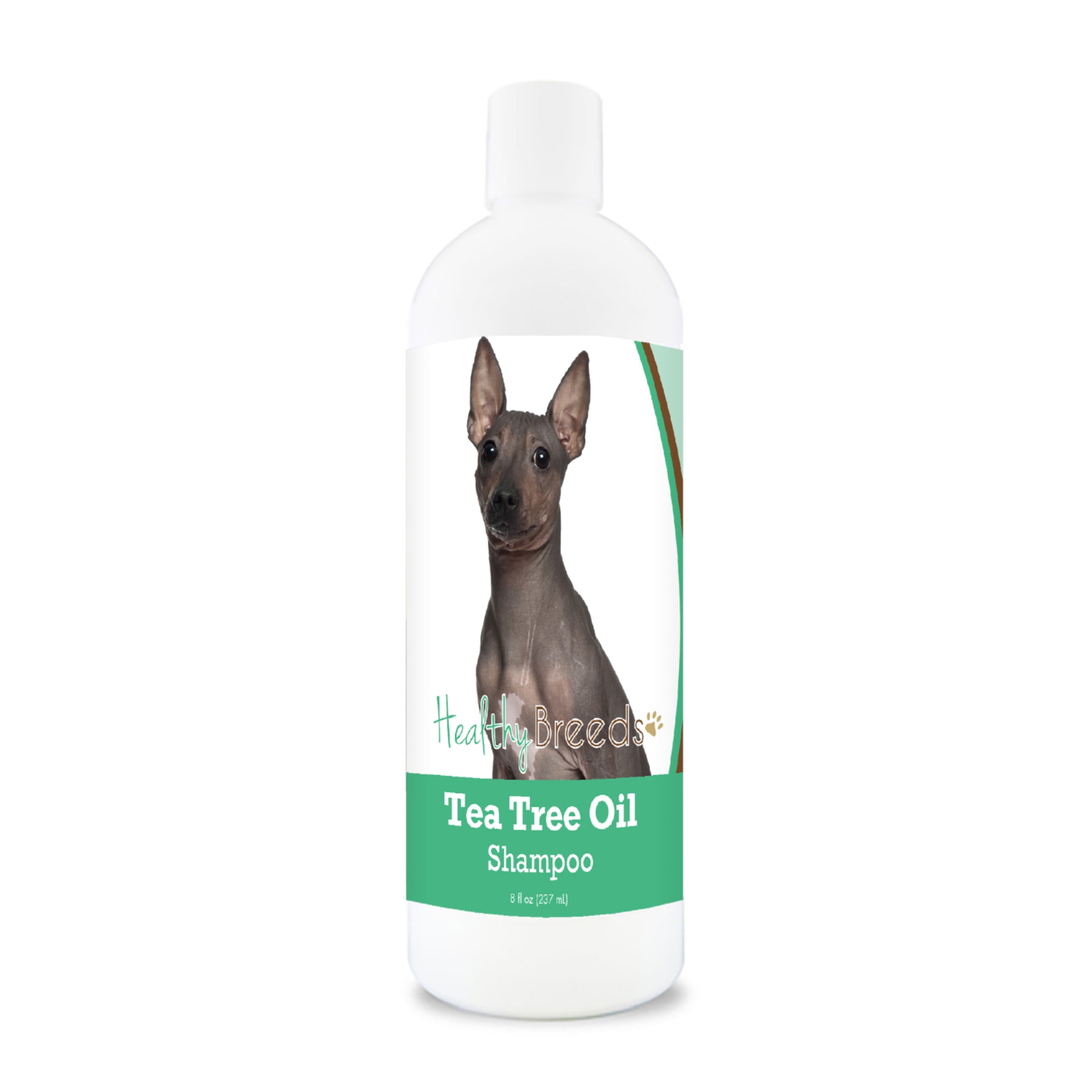 American Hairless Terrier Tea Tree Oil Shampoo 8 oz