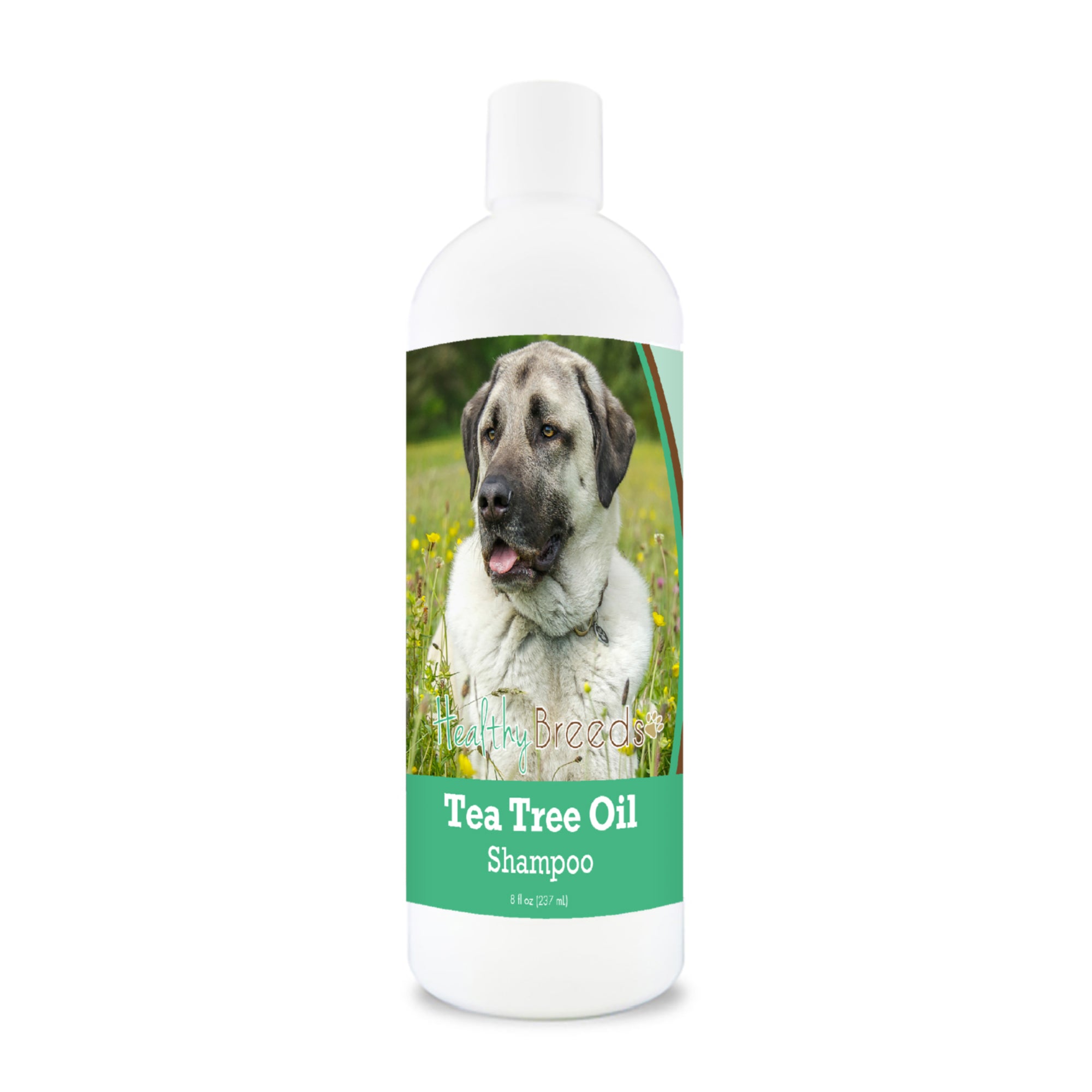 Anatolian Shepherd Dog Tea Tree Oil Shampoo 8 oz