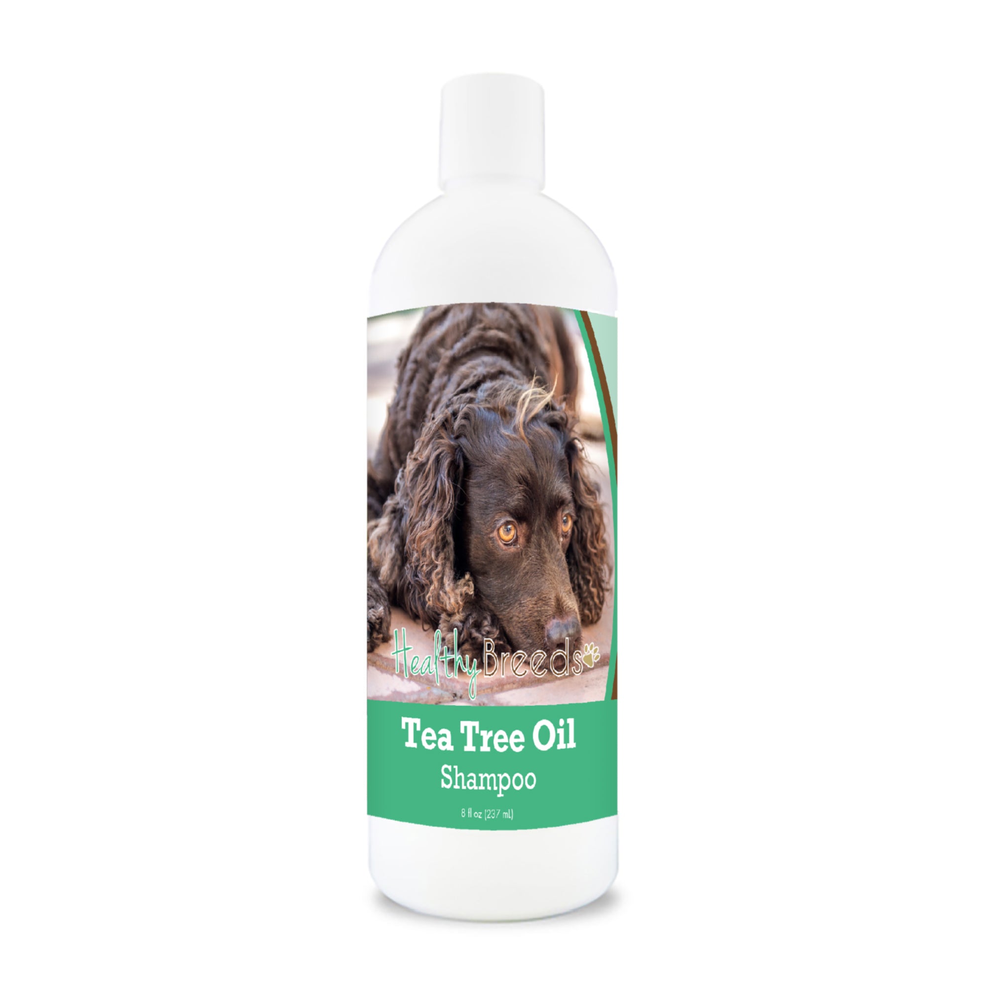 American Water Spaniel Tea Tree Oil Shampoo 8 oz