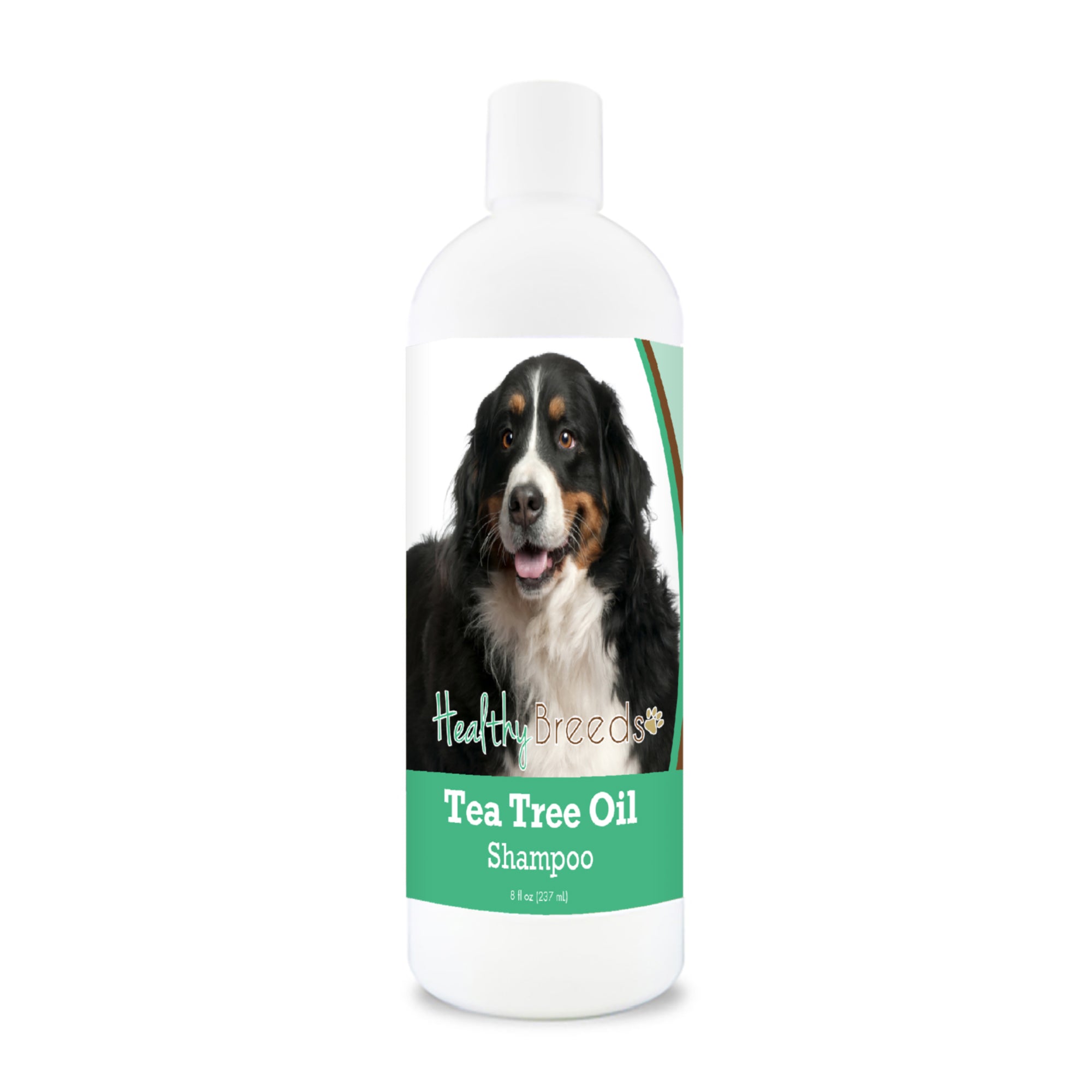 Bernese Mountain Dog Tea Tree Oil Shampoo 8 oz
