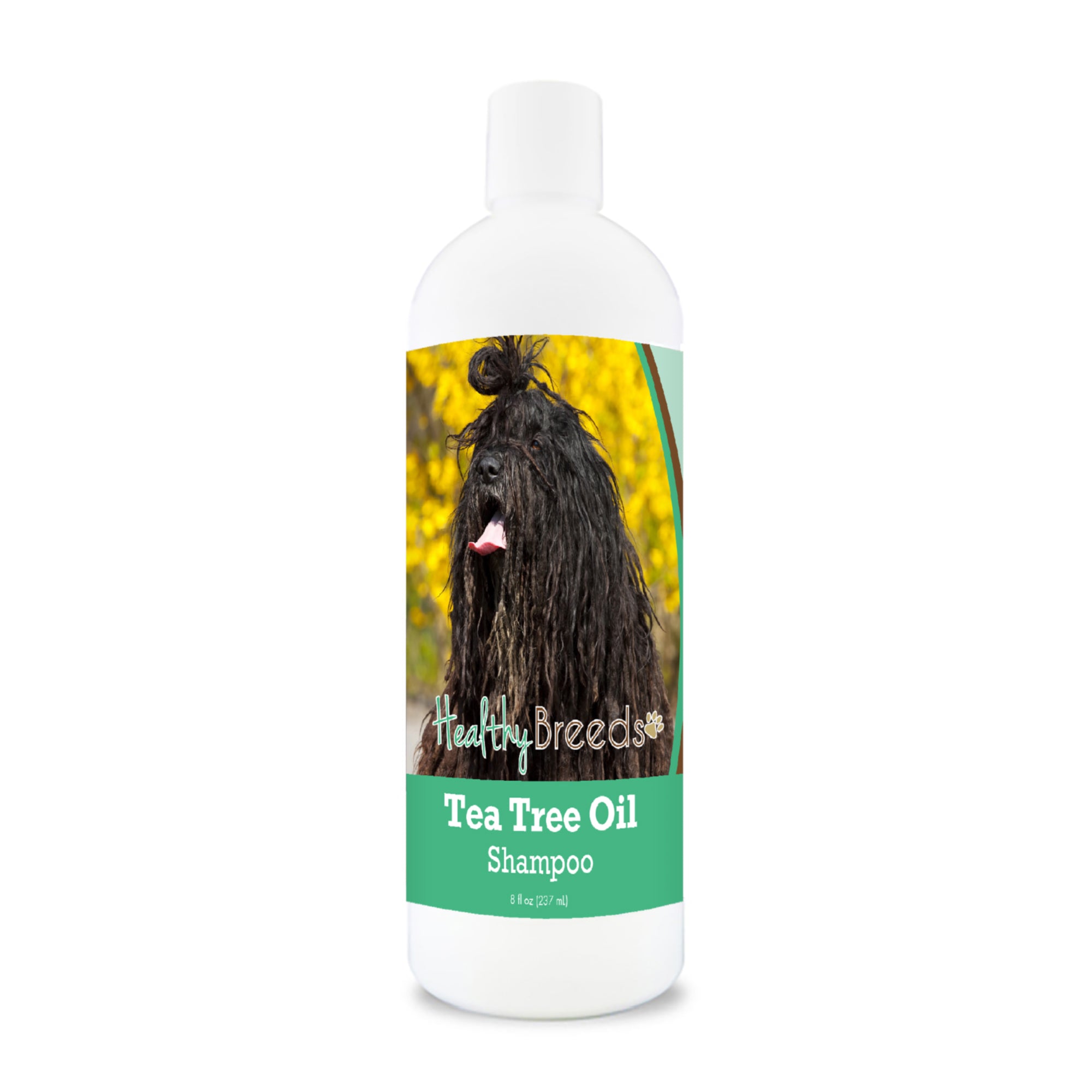 Bergamasco Tea Tree Oil Shampoo 8 oz