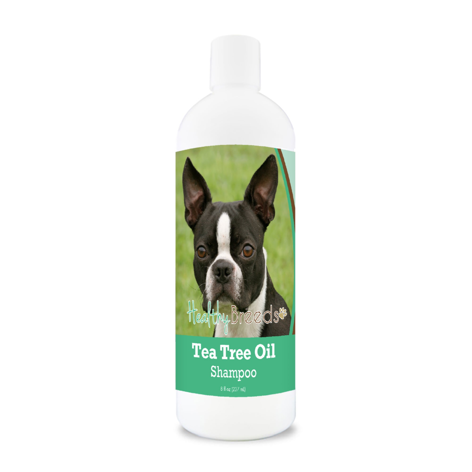 Boston Terrier Tea Tree Oil Shampoo 8 oz