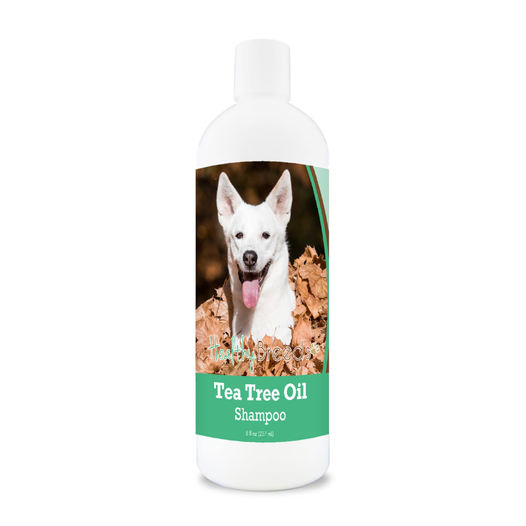 Canaan Dog Tea Tree Oil Shampoo 8 oz