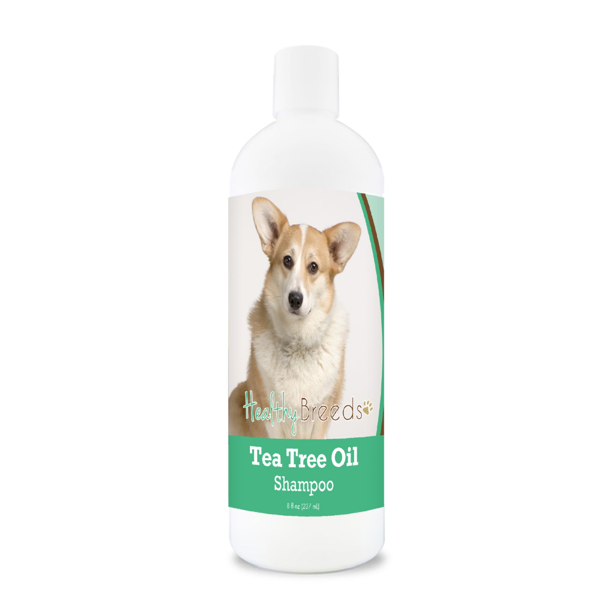 Cardigan Welsh Corgi Tea Tree Oil Shampoo 8 oz