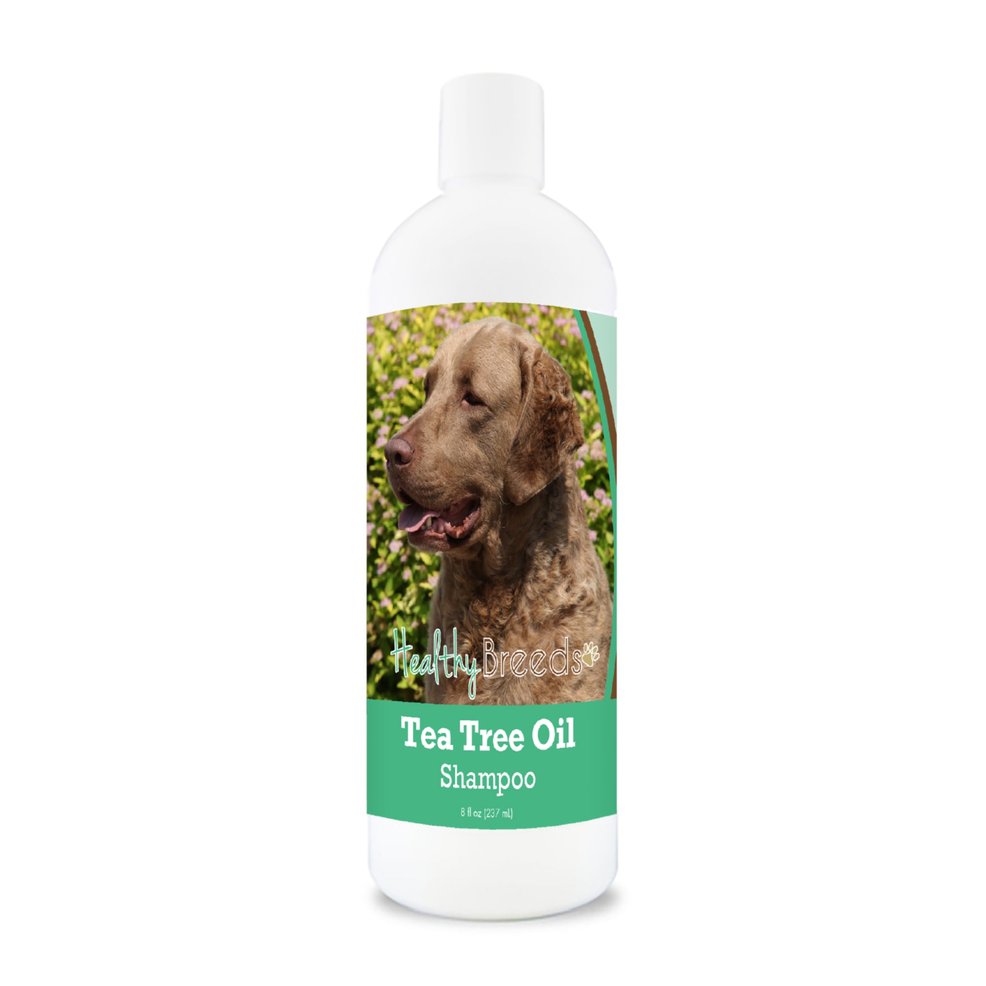 Chesapeake Bay Retriever Tea Tree Oil Shampoo 8 oz