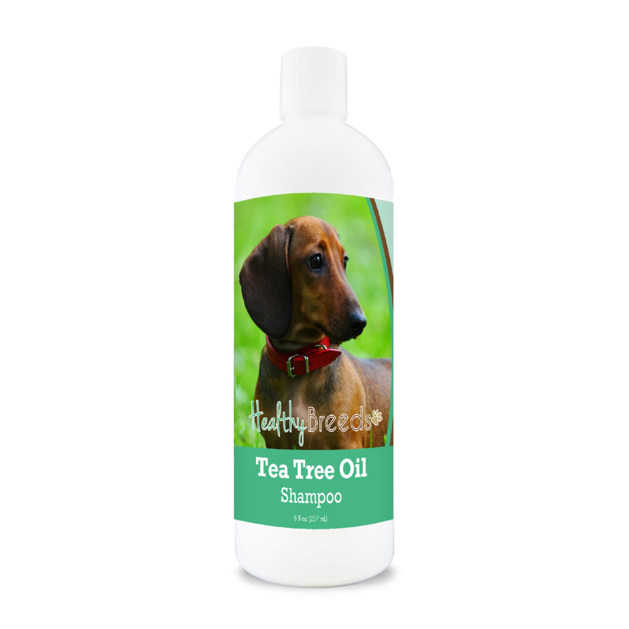 Dachshund Tea Tree Oil Shampoo 8 oz