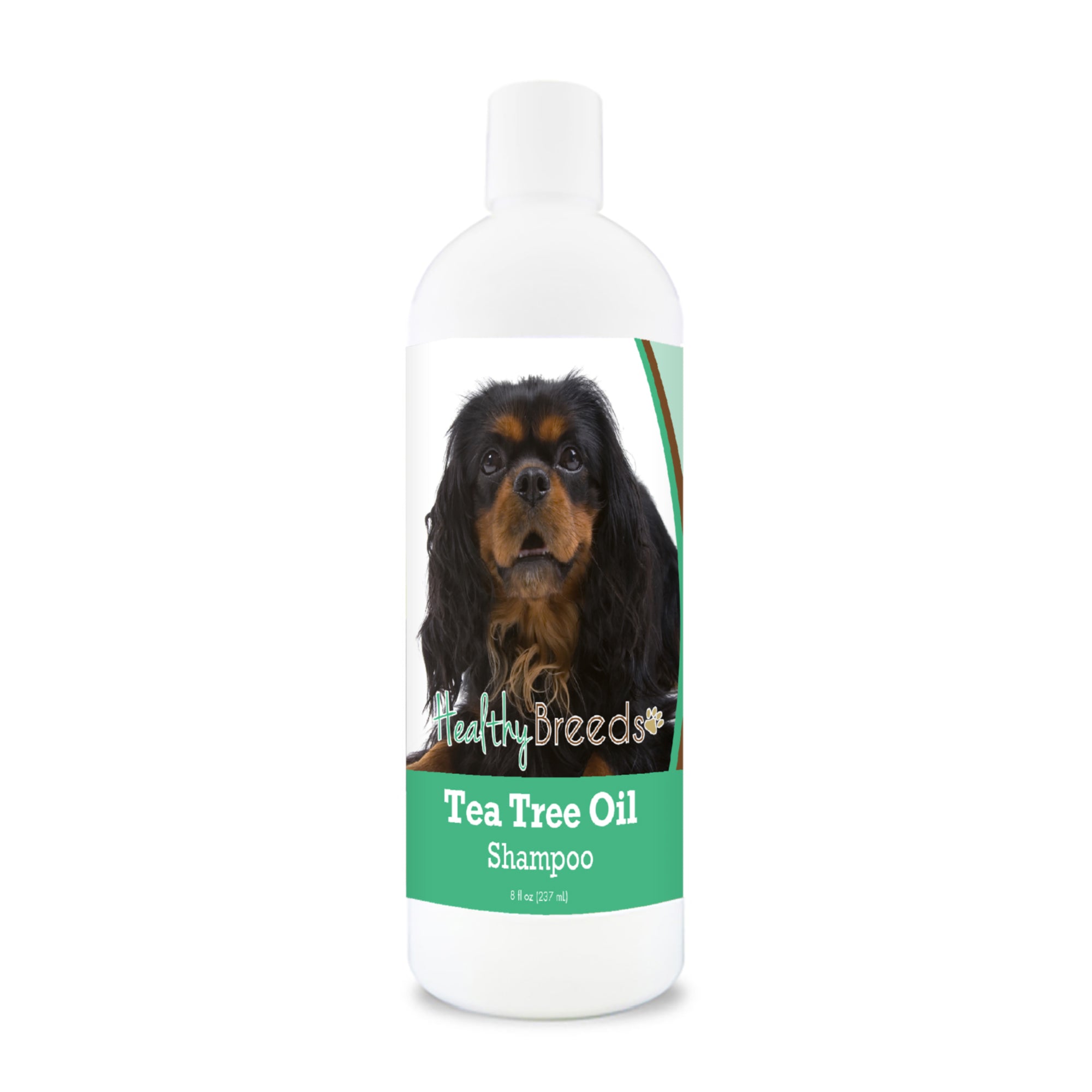 English Toy Spaniel Tea Tree Oil Shampoo 8 oz