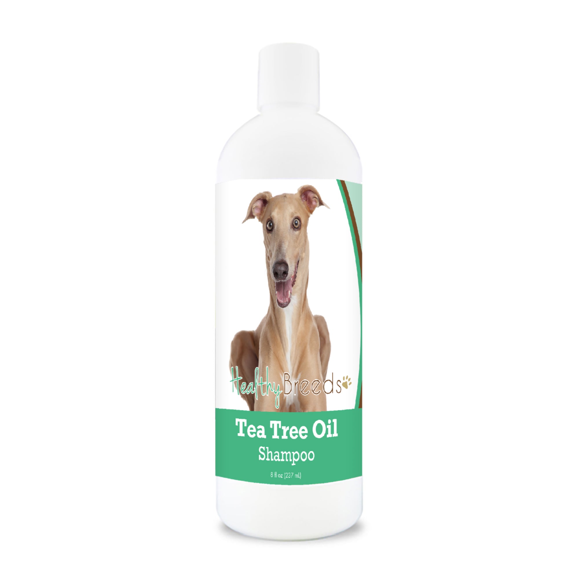 Italian Greyhound Tea Tree Oil Shampoo 8 oz