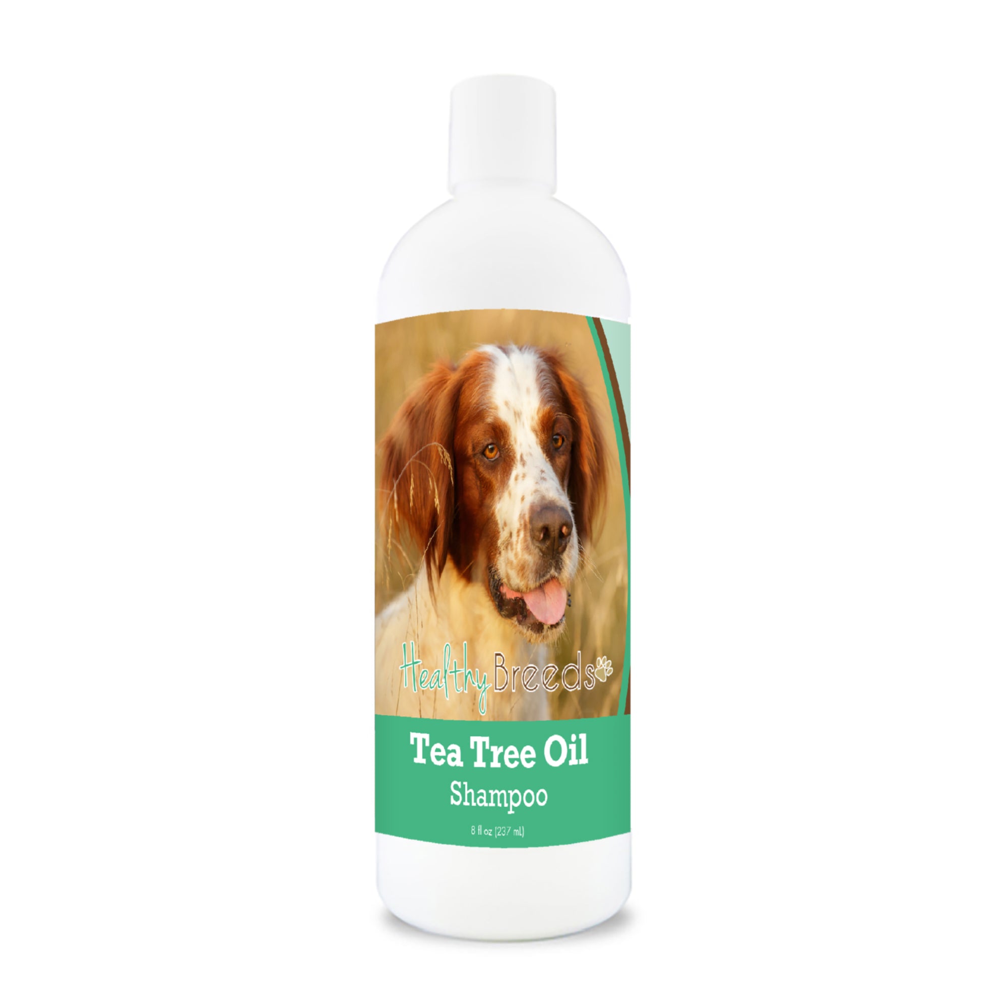 Irish Red and White Setter Tea Tree Oil Shampoo 8 oz