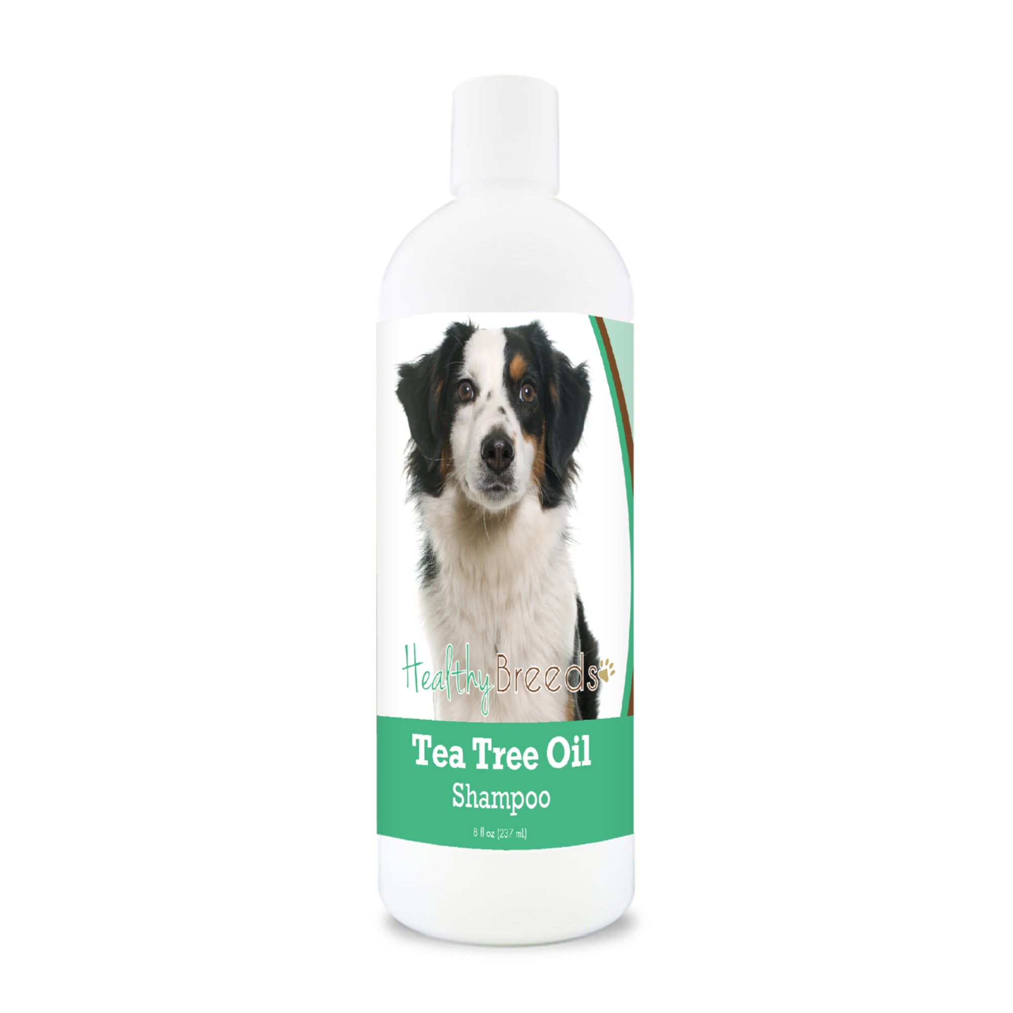 Miniature American Shepherd Tea Tree Oil Shampoo 8 oz