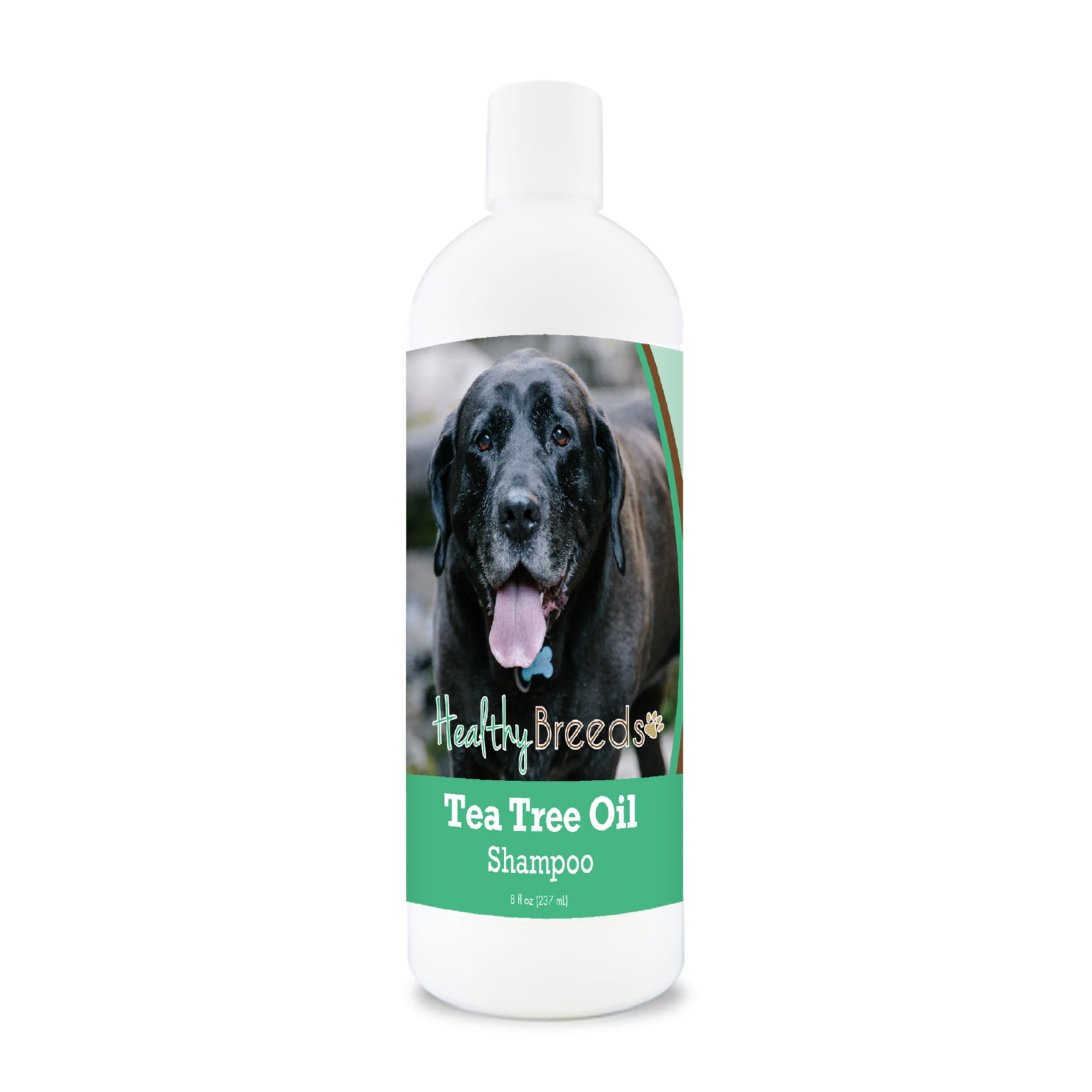Mastador Tea Tree Oil Shampoo 8 oz