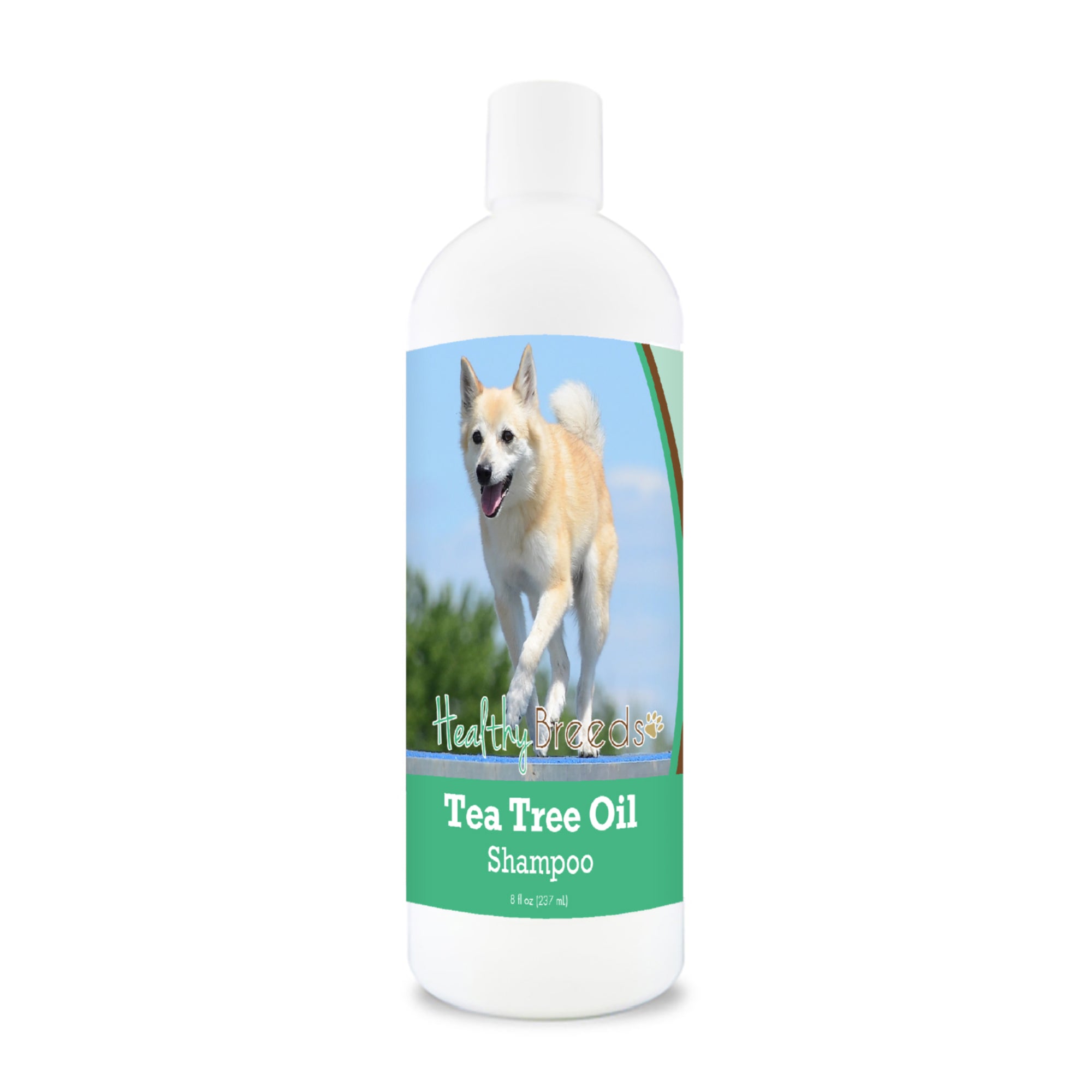 Norwegian Buhund Tea Tree Oil Shampoo 8 oz