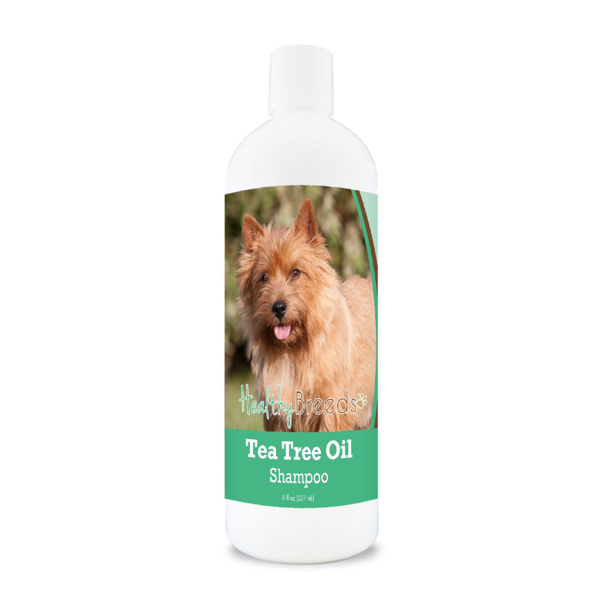 Norwich Terrier Tea Tree Oil Shampoo 8 oz