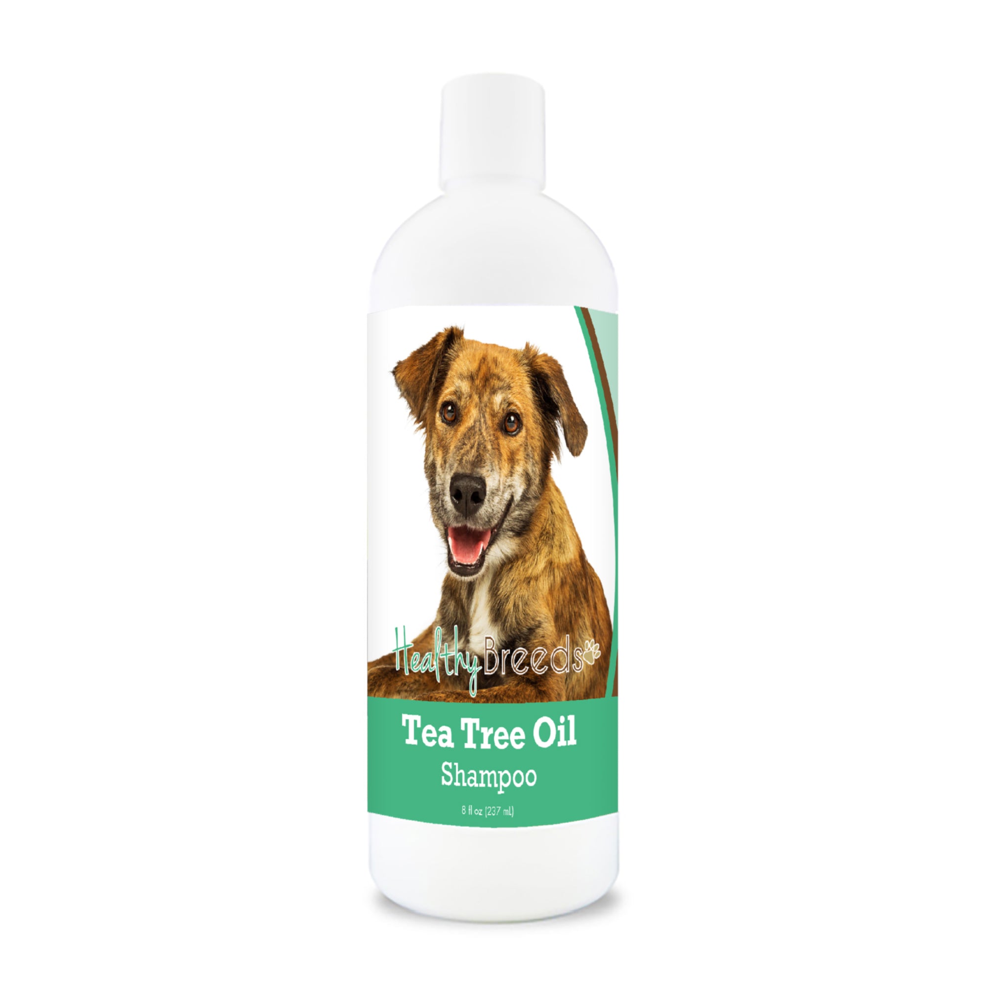 Plott Tea Tree Oil Shampoo 8 oz