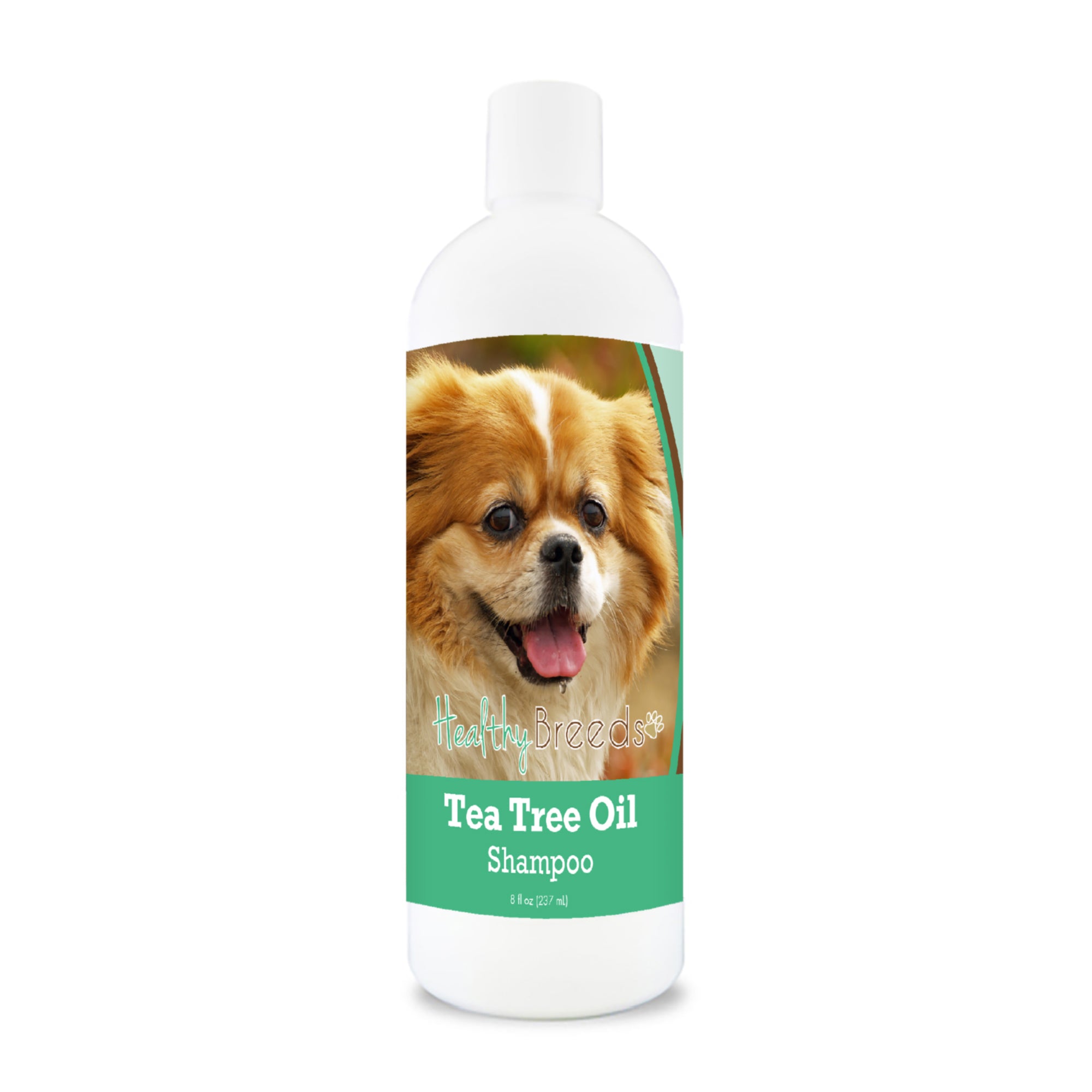 Tibetan Spaniel Tea Tree Oil Shampoo 8 oz
