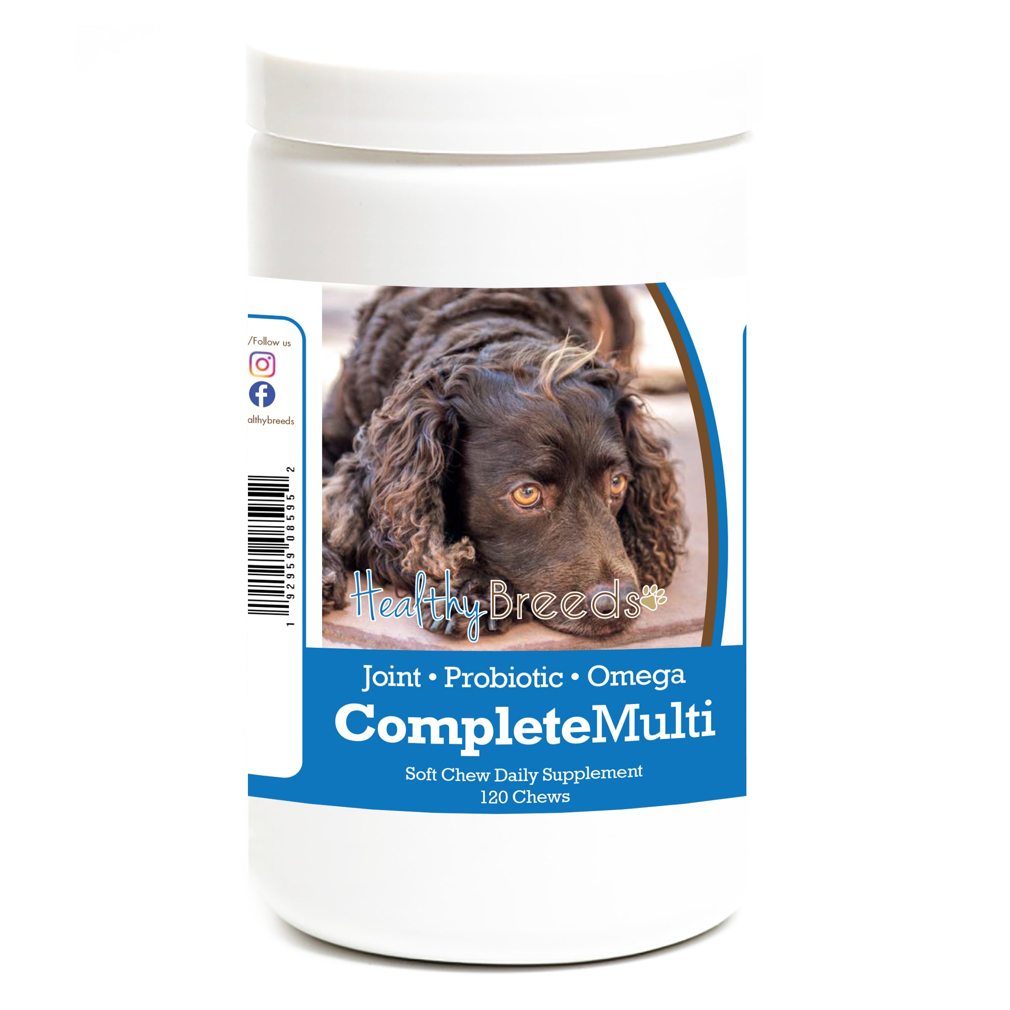 American Water Spaniel All In One Multivitamin Soft Chew 120 Count