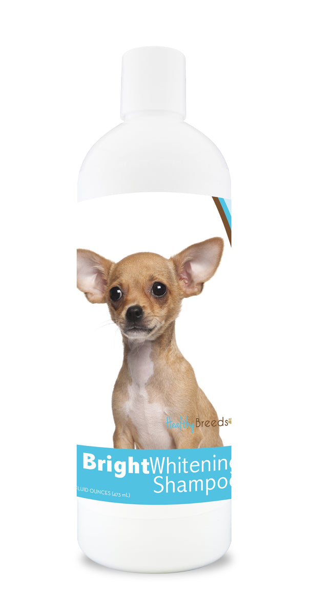 Chihuahua Bright Whitening Shampoo 12 oz Healthy Breeds