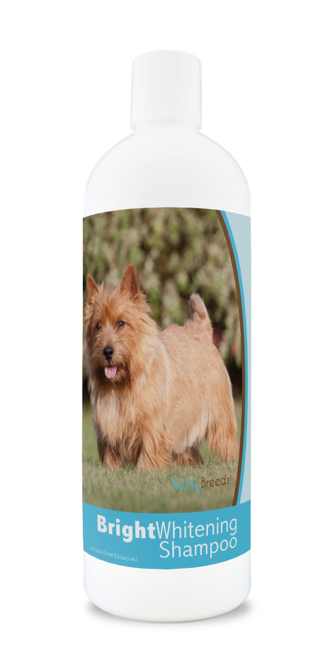 Norwich Terrier Bright Whitening Shampoo 12 oz