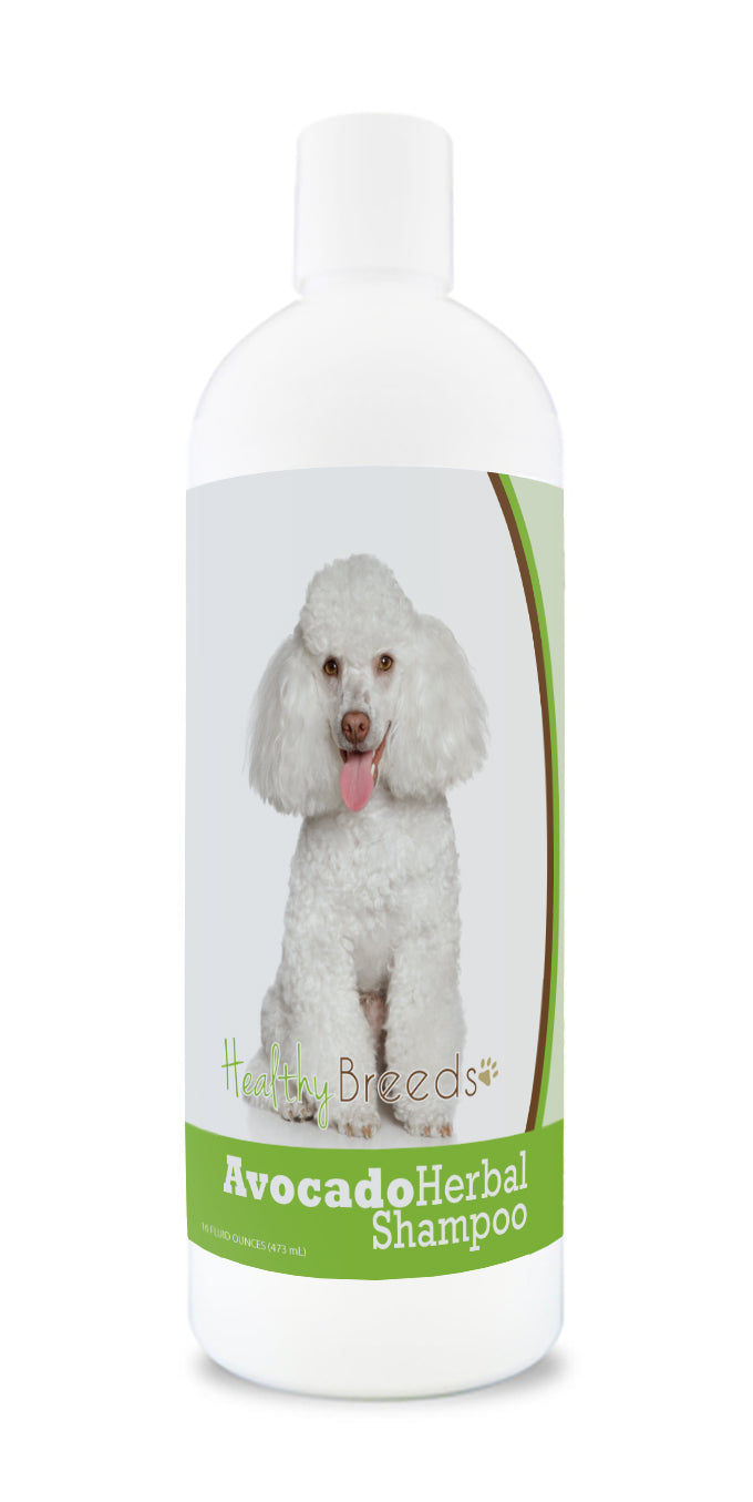 Poodle Avocado Herbal Dog Shampoo 16 oz