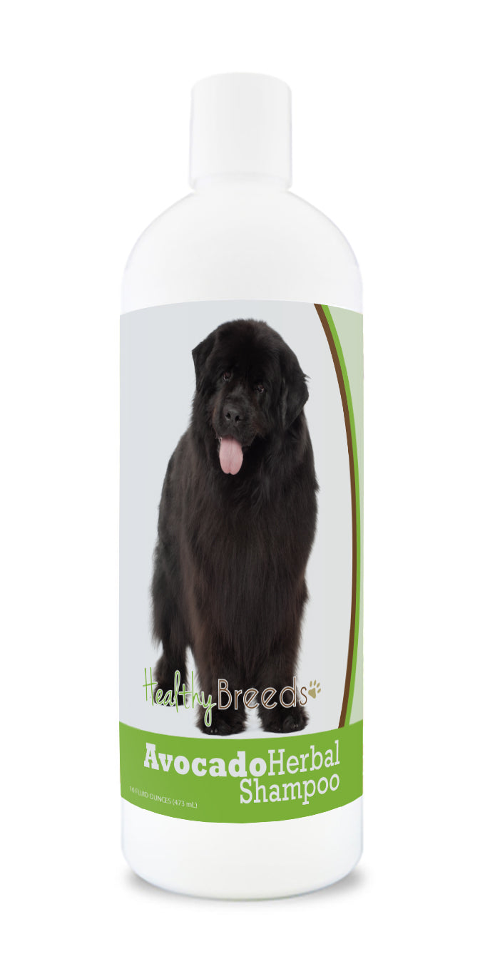 Newfoundland Avocado Herbal Dog Shampoo 16 oz