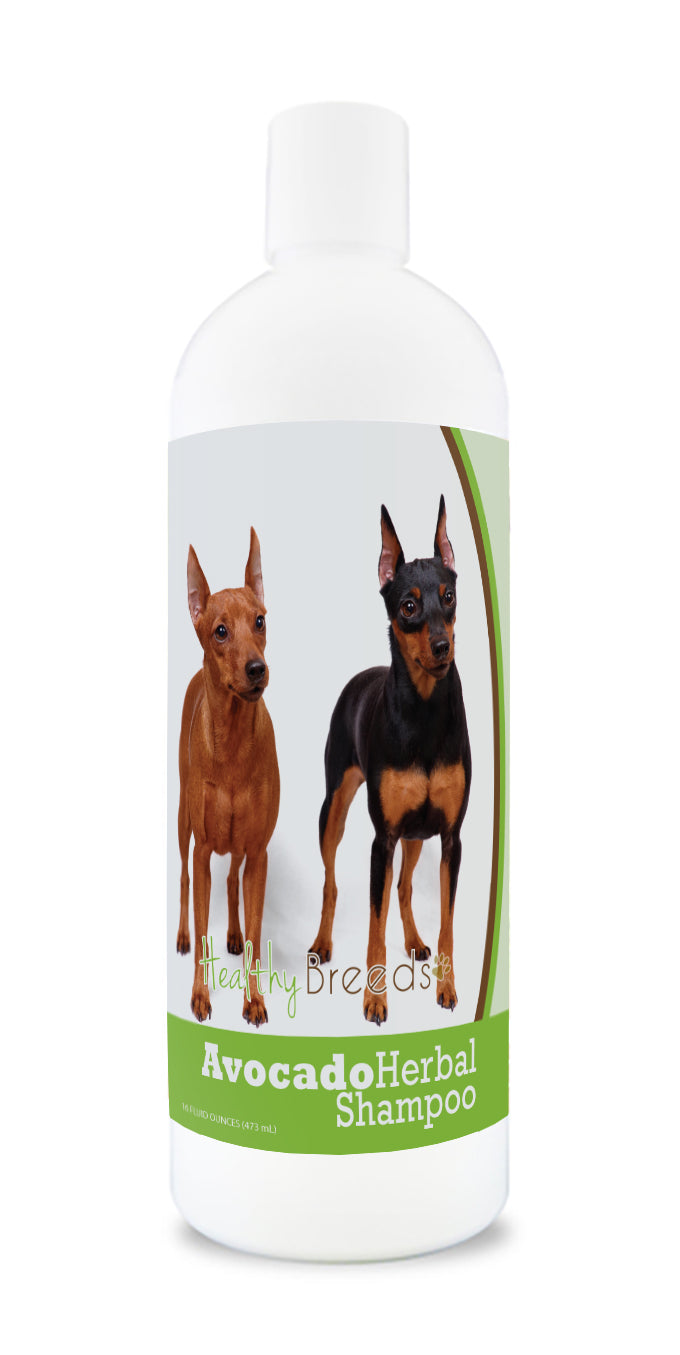 Miniature Pinscher Avocado Herbal Dog Shampoo 16 oz