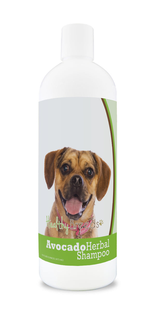 All Natural Itchy Dog Shampoo Conditioner, 44 OFF