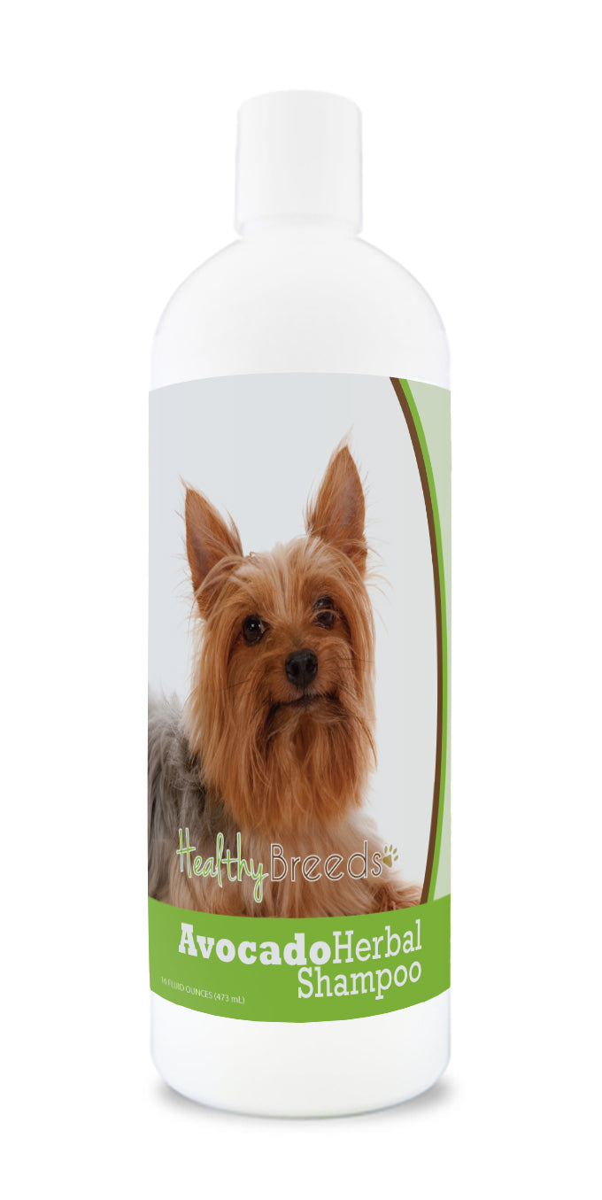 Silky Terrier Avocado Herbal Dog Shampoo 16 oz