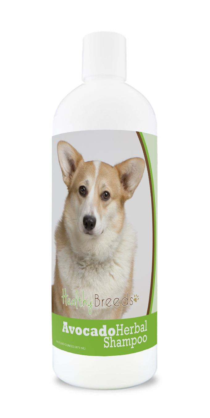 Cardigan Welsh Corgi Avocado Herbal Dog Shampoo 16 oz