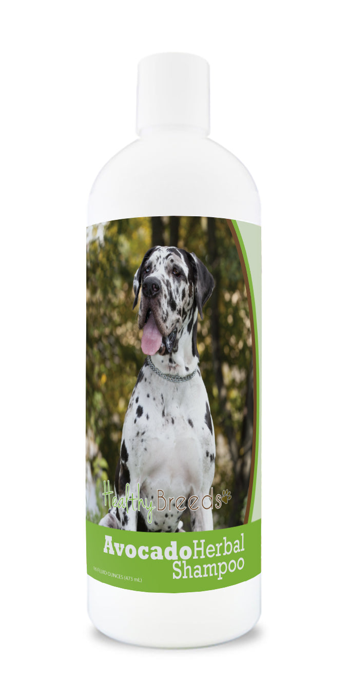 Great Dane Avocado Herbal Dog Shampoo 16 oz