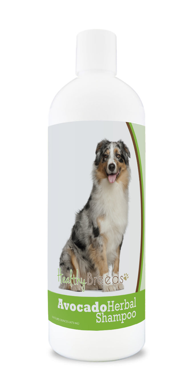Australian Shepherd Avocado Herbal Dog Shampoo 16 oz