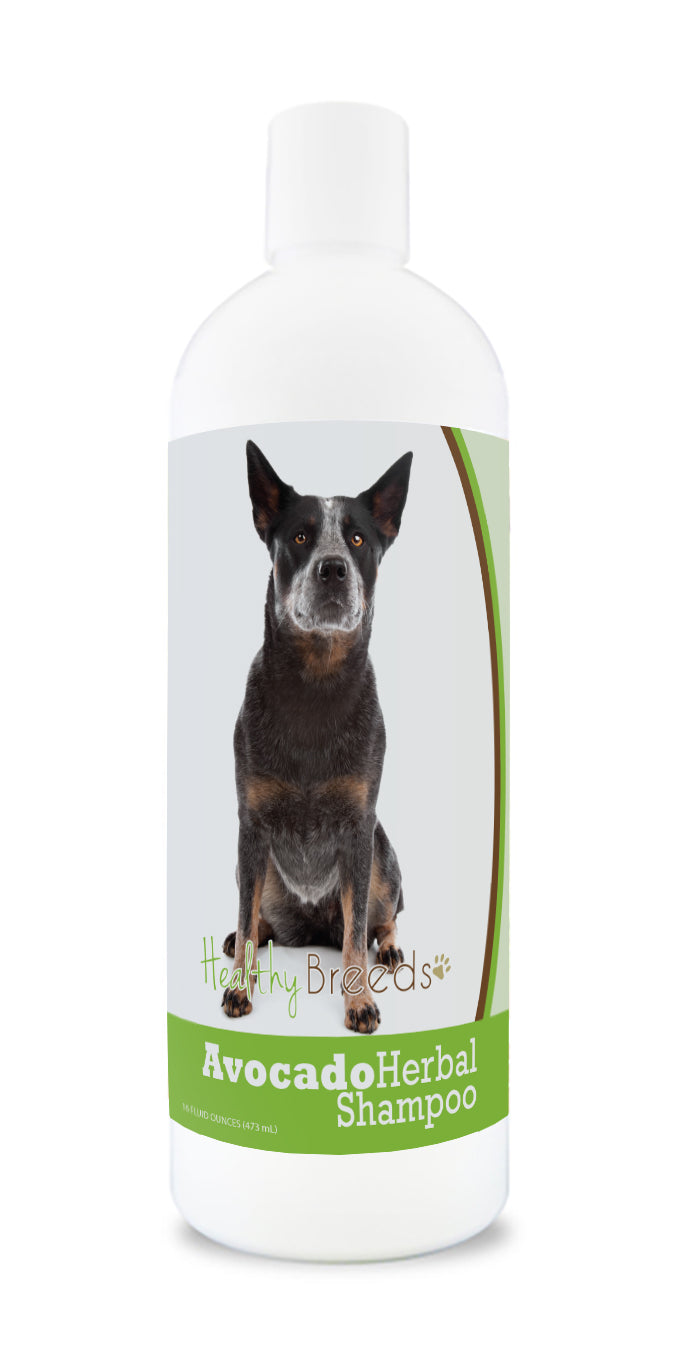 Australian Cattle Dog Avocado Herbal Dog Shampoo 16 oz