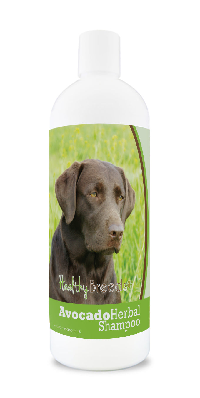 Labrador Retriever Avocado Herbal Dog Shampoo 16 oz