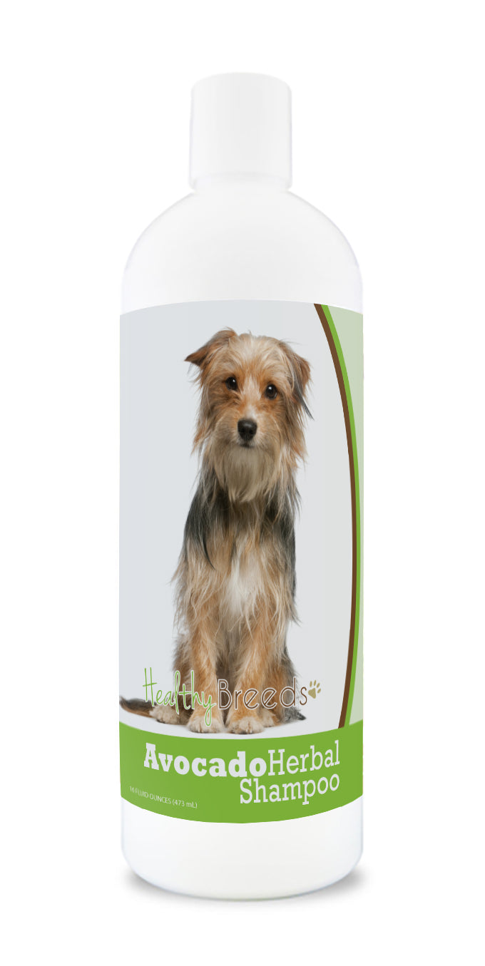 Mutt Avocado Herbal Dog Shampoo 16 oz