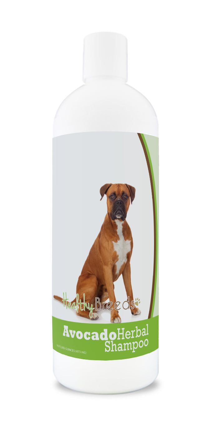 Boxer Avocado Herbal Dog Shampoo 16 oz