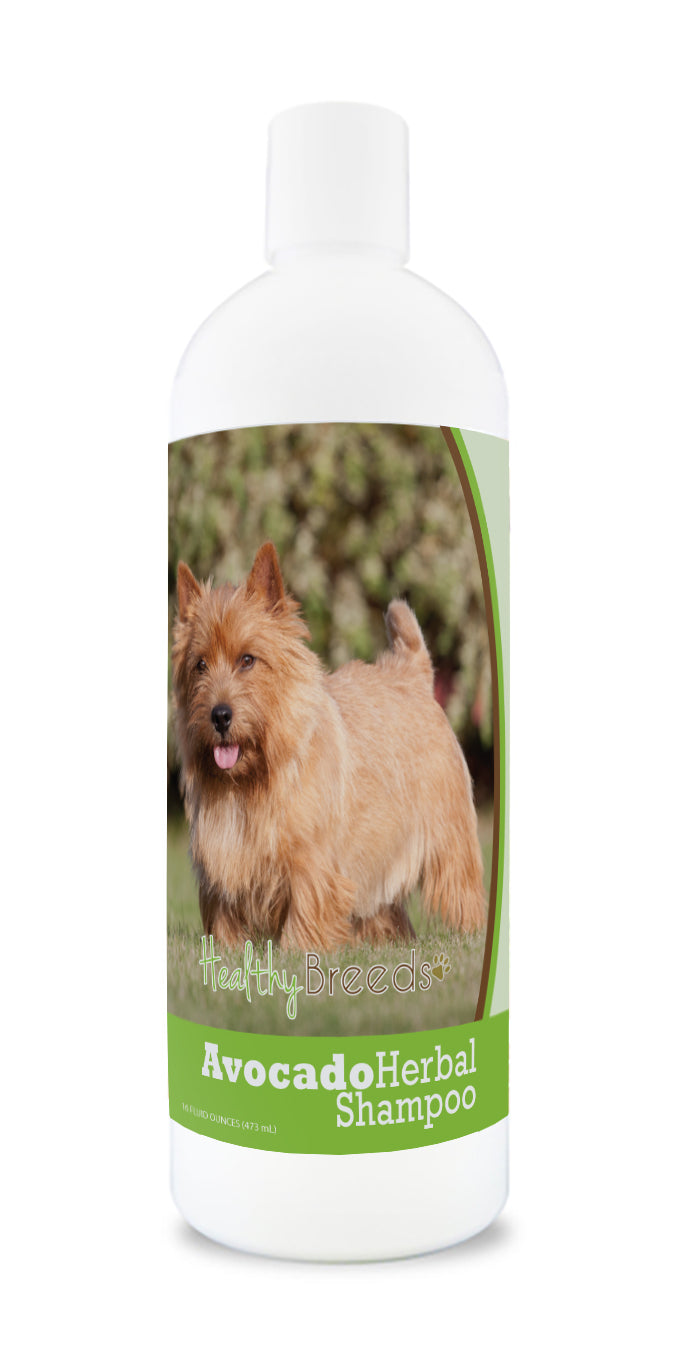 Norwich Terrier Avocado Herbal Dog Shampoo 16 oz