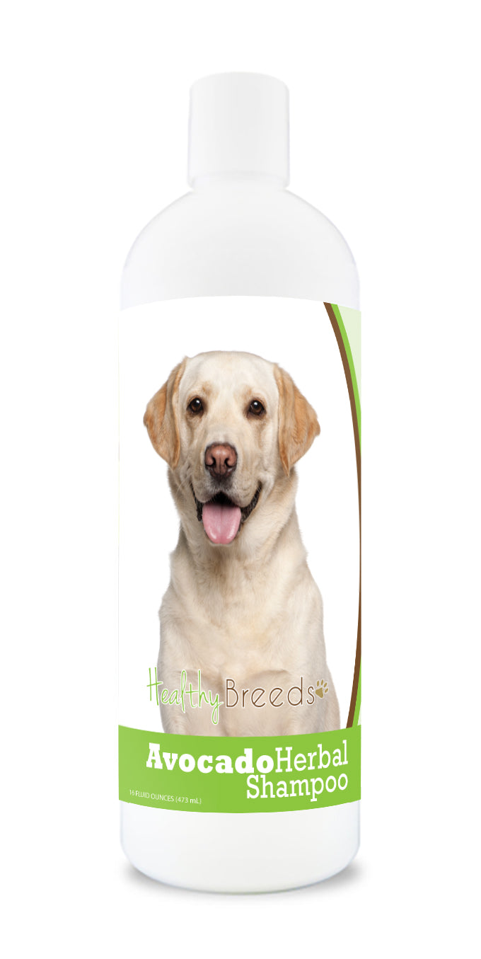 Labrador Retriever Avocado Herbal Dog Shampoo 16 oz