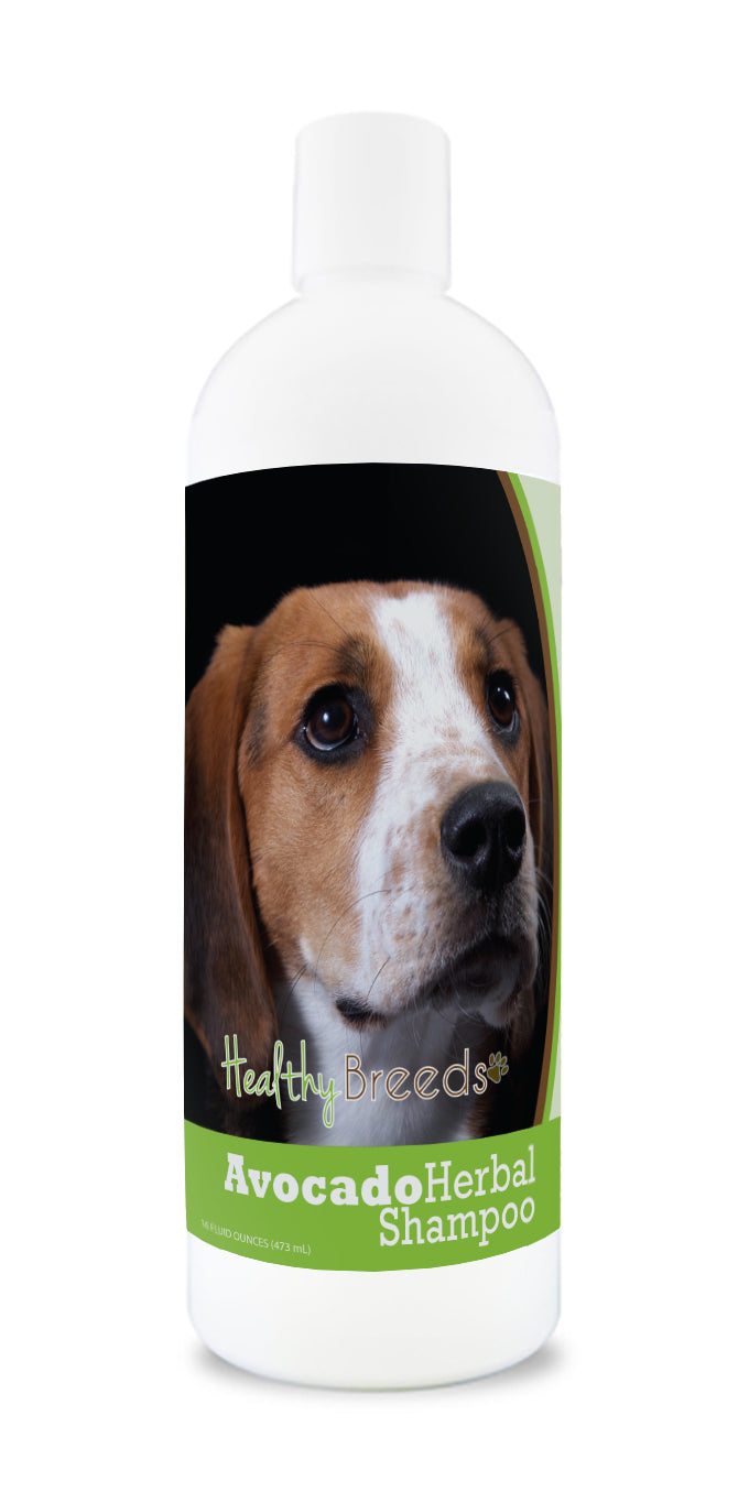 American English Coonhound Avocado Herbal Dog Shampoo 16 oz